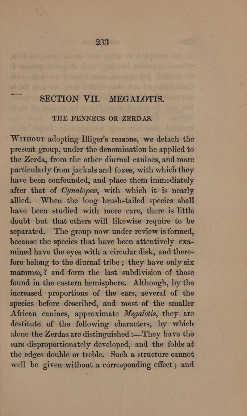 SECTION VII. MEGALOTIS. THE FENNECS OR ZERDAS. Wirnovr adosting Illiger’s reasons, we detach the present group, under the denomination he applied to the Zerda, from the other diurnal canines, and more particularly from jackals and foxes, with which they have been confounded, and place them immediately after that of Cynalopex, with which it is nearly allied. When the long brush-tailed species shall have been studied with more care, there is little doubt but that others will likewise require to be separated. The group now under review is formed, because the species that have been attentively exa- mined have the eyes with a circular disk, and there- fore belong to the diurnal tribe ; they have only six mamme,? and form the last subdivision of those found in the eastern hemisphere. Although, by the increased proportions of the ears, several of the species before described, and most of the smaller African canines, approximate Megalotis, they are destitute of the following characters, by which alone the Zerdas are distinguished :—They have the ears disproportionately developed, and the folds at the edges double or treble. Such a structure cannot well be given without a corresponding effect ; and