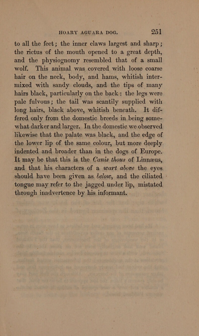 HOARY AGUARA DOG. 2951 to all the feet; the inner claws largest and sharp ; the rictus of the mouth opened to a great depth, and the physiogpnomy resembled that of a small wolf. This animal was covered with loose coarse hair on the neck, body, and hams, whitish inter- mixed with sandy clouds, and the tips of many hairs black, particularly on the back: the legs were pale fulvous; the tail was scantily supplied with long hairs, black above, whitish beneath. It dif- fered only from the domestic breeds in being some- what darker and larger. In the domestic we observed likewise that the palate was black, and the edge of the lower lip of the same colour, but more deeply indented and broader than in the dogs of Europe. It, may be that this is, the Canis thous of Linnzus, and that his characters of a wart above the eyes should have been given as lelow, and the ciliated : tongue may refer to the jagged under lip, mistated through inadvertence by his informant.