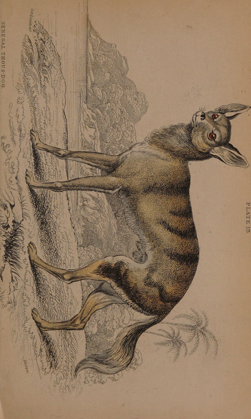 Pa As he. SNS ~ 1444),