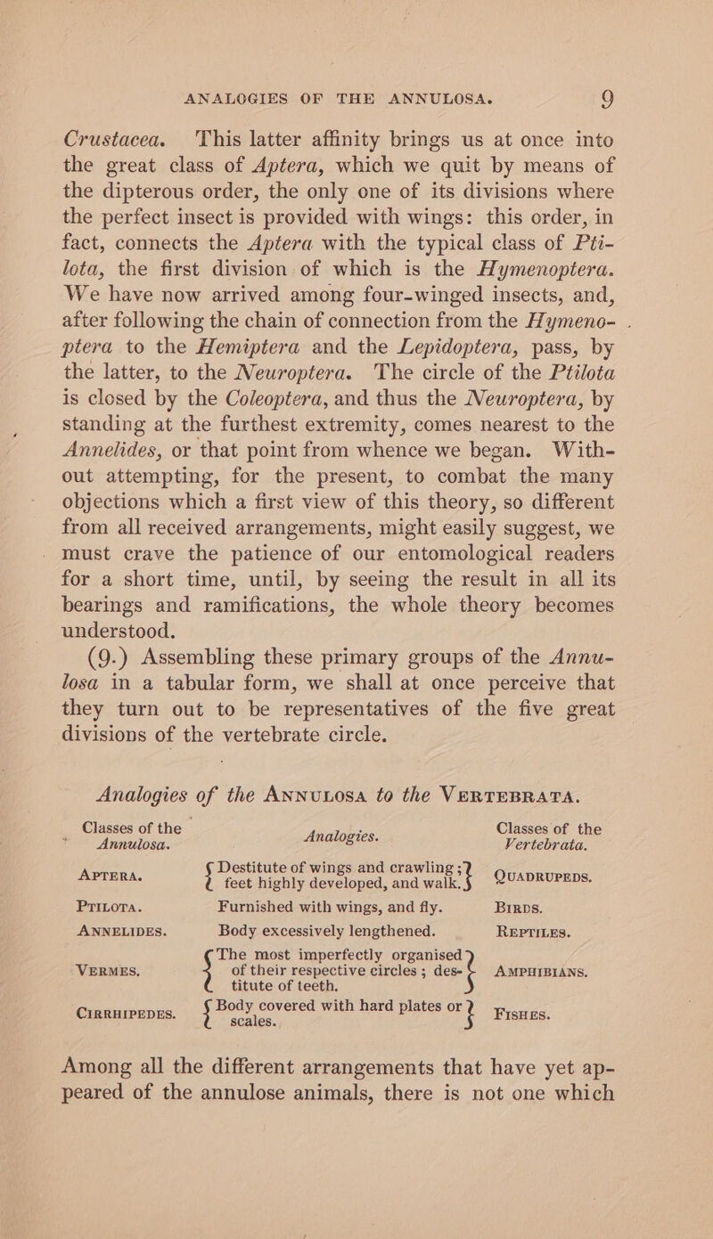 Crustacea. ‘This latter affinity brings us at once into the great class of Aptera, which we quit by means of the dipterous order, the only one of its divisions where the perfect insect is provided with wings: this order, in fact, connects the Aptera with the typical class of Pti- lota, the first division of which is the Hymenoptera. We have now arrived among four-winged insects, and, after following the chain of connection from the Hymeno- . ptera to the Hemiptera and the Lepidoptera, pass, by the latter, to the Neuroptera. The circle of the Ptilota is closed by the Coleoptera, and thus the Neuroptera, by standing at the furthest extremity, comes nearest to the Annelides, or that point from whence we began. With- out attempting, for the present, to combat the many objections which a first view of this theory, so different from all received arrangements, might easily suggest, we must crave the patience of our entomological readers for a short time, until, by seeing the result in all its bearings and ramifications, the whole theory becomes understood. (9.) Assembling these primary groups of the Annu- losa in a tabular form, we shall at once perceive that they turn out to be representatives of the five great divisions of the vertebrate circle. Analogies of the ANNuLOsa to the VERTEBRATA. Classes of the Classes of the Annulosa. Analogies. Vertebrata. Destitute of wings and crawling ; APTERA. feet highly developed, and walk. QUADRUPEDS. Pribota. Furnished with wings, and fly. Birps. ANNELIDES. Body excessively lengthened. REPTILES. The most imperfectly organised VERMES, of their respective circles ; des- AMPHIBIANS. titute of teeth. Gaudareanre: gn eles with hard plates ot eens Among all the different arrangements that have yet ap- peared of the annulose animals, there is not one which