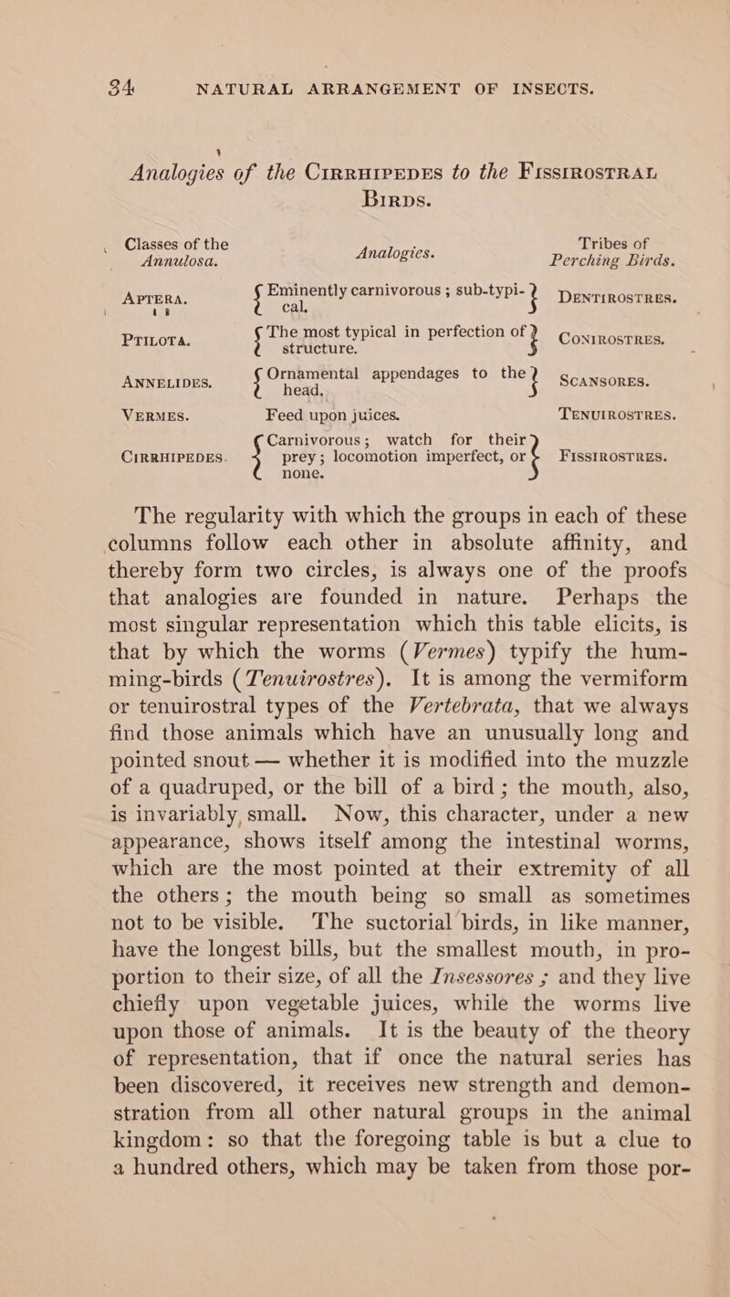 ’ Analogies of the CrrrureepEs to the Fissrrostrau Birps. Classes of the : Tribes of Annulosa. Analogies. Perching Birds. ie yt ae carnivorous ; sub-typi- i Duntiecareen: as + The most typical in perfection at ® PTILOTA. ; arretetnire. CONIROSTRES. en hires. Ornamental appendages to aie De head, VERMES. Feed upon juices. TENUIROSTRES. Carnivorous; watch for their CiIRRHIPEDES. prey; locomotion imperfect, or FISSIROSTRES. none. The regularity with which the groups in each of these columns follow each other in absolute affinity, and thereby form two circles, is always one of the proofs that analogies are founded in nature. Perhaps the most singular representation which this table elicits, is that by which the worms (Vermes) typify the hum- ming-birds (Tenuirostres). It is among the vermiform or tenuirostral types of the Vertebrata, that we always find those animals which have an unusually long and pointed snout — whether it is modified into the muzzle of a quadruped, or the bill of a bird ; the mouth, also, is invariably, small. Now, this character, under a new appearance, shows itself among the intestinal worms, which are the most pointed at their extremity of all the others; the mouth being so small as sometimes not to be visible. The suctorial birds, in like manner, have the longest bills, but the smallest mouth, in pro- portion to their size, of all the Insessores ; and they live chiefly upon vegetable juices, while the worms live upon those of animals. It is the beauty of the theory of representation, that if once the natural series has been discovered, it receives new strength and demon- stration from all other natural groups in the animal kingdom: so that the foregoing table is but a clue to a hundred others, which may be taken from those por-