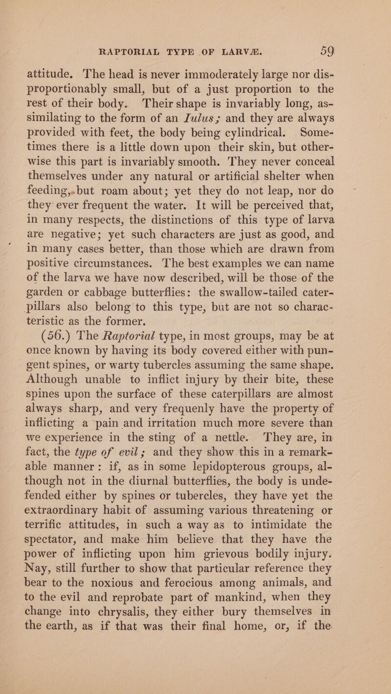 attitude. The head is never immoderately large nor dis- proportionably small, but of a just proportion to the rest of their body. Their shape is invariably long, as- similating to the form of an Judus; and they are always provided with feet, the body being cylindrical. Some- times there is a little down upon their skin, but other- wise this part is invariably smooth. They never conceal themselves under any natural or artificial shelter when feeding,.but roam about; yet they do not leap, nor do they ever frequent the water. It will be perceived that, in many respects, the distinctions of this type of larva are negative; yet such characters are just as good, and in many cases better, than those which are drawn from positive circumstances. The best examples we can name of the larva we have now described, will be those of the garden or cabbage butterflies: the swallow-tailed cater- pillars also belong to this type, but are not so charac- teristic as the former. (56.) The Raptorial type, in most groups, may be at once known by having its body covered either with pun- gent spines, or warty tubercles assuming the same shape. Although unable to inflict injury by their bite, these spines upon the surface of these caterpillars are almost always sharp, and very frequenly have the property of inflicting a pain and irritation much more severe than Wwe experience in the sting of a nettle. They are, in fact, the type of evil; and they show this in a remark- able manner: if, as in some lepidopterous groups, al- though not in the diurnal butterflies, the body is unde- fended either by spines or tubercles, they have yet the extraordinary habit of assuming various threatening or terrific attitudes, in such a way as to intimidate the spectator, and make him believe that they have the power of inflicting upon him grievous bodily injury. Nay, still further to show that particular reference they bear to the noxious and ferocious among animals, and to the evil and reprobate part of mankind, when they change into chrysalis, they either bury themselves in the earth, as if that was their final home, or, if the