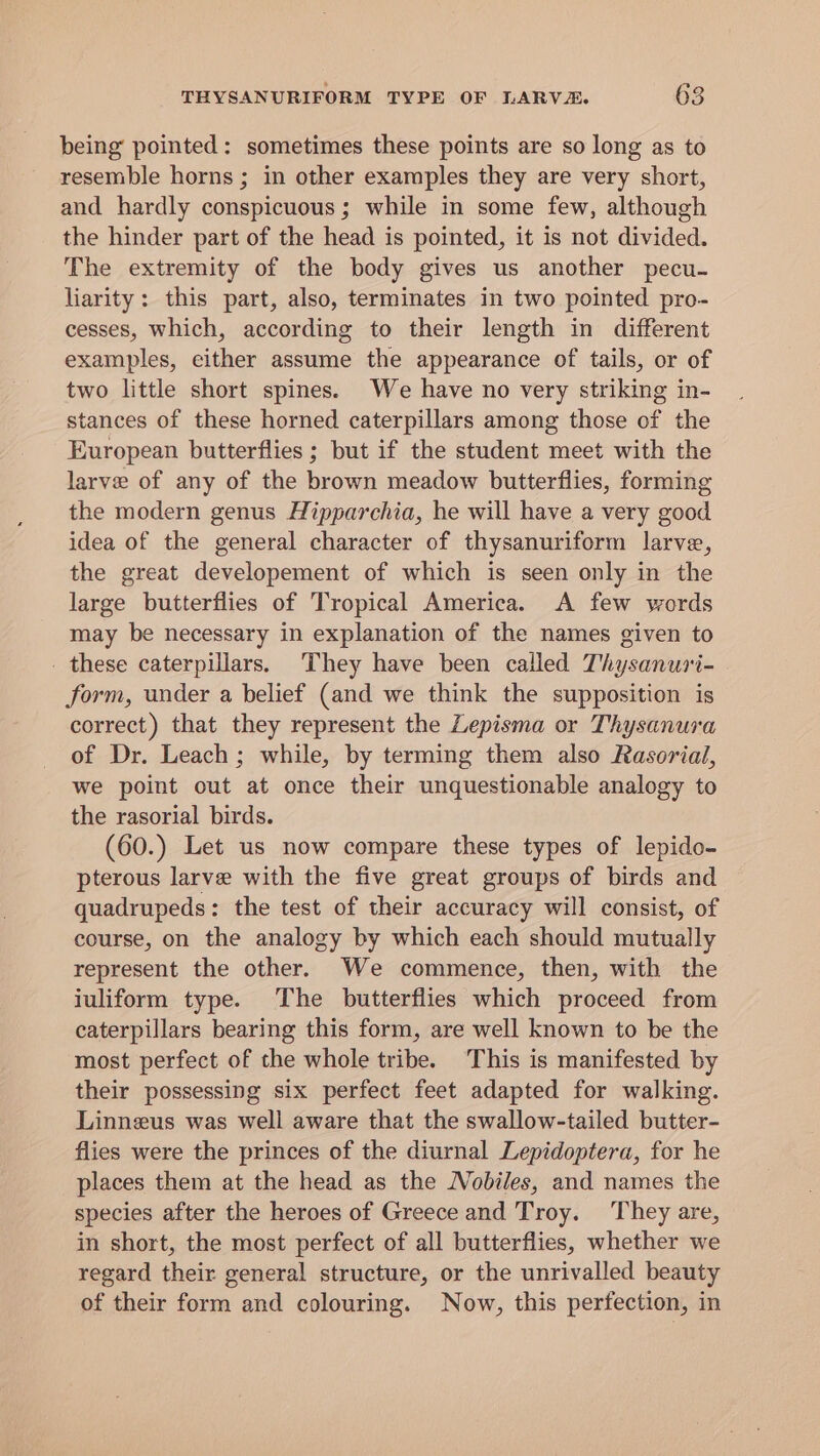 being pointed: sometimes these points are so long as to resemble horns; in other examples they are very short, and hardly conspicuous; while in some few, although the hinder part of the head is pointed, it is not divided. The extremity of the body gives us another pecu- liarity: this part, also, terminates in two pointed pro- cesses, which, according to their length in different examples, either assume the appearance of tails, or of two little short spines. We have no very striking in- stances of these horned caterpillars among those of the European butterflies ; but if the student meet with the larve of any of the brown meadow butterflies, forming the modern genus Hipparchia, he will have a very good idea of the general character of thysanuriform larve, the great developement of which is seen only in the large butterflies of Tropical America. A few words may be necessary in explanation of the names given to these caterpillars. They have been called Thysanuri- form, under a belief (and we think the supposition is correct) that they represent the Lepisma or Thysanura of Dr. Leach; while, by terming them also Rasorial, we point out at once their unquestionable analogy to the rasorial birds. (60.) Let us now compare these types of lepido- pterous larve with the five great groups of birds and quadrupeds: the test of their accuracy will consist, of course, on the analogy by which each should mutually represent the other. We commence, then, with the iuliform type. The butterflies which proceed from caterpillars bearing this form, are well known to be the most perfect of the whole tribe. This is manifested by their possessing six perfect feet adapted for walking. Linneus was well aware that the swallow-tailed butter- flies were the princes of the diurnal Lepidoptera, for he places them at the head as the Wobiles, and names the species after the heroes of Greece and Troy. They are, in short, the most perfect of all butterflies, whether we regard their general structure, or the unrivalled beauty of their form and colouring. Now, this perfection, in