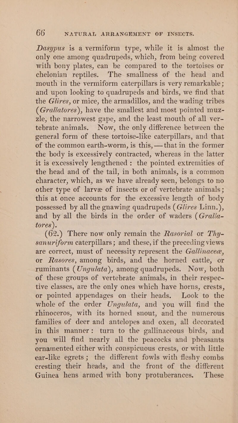 Dasypus is a vermiform type, while it is almost the only one among quadrupeds, which, from being covered with bony plates, can be compared to the tortoises or chelonian reptiles. The smallness of the head and mouth in the vermiform caterpillars is very remarkable ; and upon looking to quadrupeds and birds, we find that the Glires, or mice, the armadillos, and the wading tribes (Grallatores), have the smallest and most pointed muz- zle, the narrowest gape, and the least mouth of all ver- tebrate animals. Now, the only difference between the general form of these tortoise-like caterpillars, and that of the common earth-worm, is this, —that in the former the body is excessively contracted, whereas in the latter it is excessively lengthened : the pointed extremities of the head and of the tail, in both animals, is a common character, which, as we have already seen, belongs to no other type of larve of insects or of vertebrate animals ; this at once accounts for the excessive length of body possessed by all the gnawing quadrupeds (G/ires Linn.), and by all the birds in the order of waders (Grailla- tores). (62.) There now only remain the Rasorial or Thy- sanuriform caterpillars; and these, if the preceding views are correct, must of necessity represent the Gallinacea, or Rasores, among birds, and the horned cattle, or ruminants (Ungulata), among quadrupeds. Now, both of these groups of vertebrate animals, in their respec- tive classes, are the only ones which have horns, crests, or pointed appendages on their heads. Look to the whole of the order Ungulata, and you will find the rhinoceros, with its horned snout, and the numerous families of deer and antelopes and oxen, all decorated in this manner: turn to the gallinaceous birds, and you will find nearly all the peacocks and pheasants ornamented either with conspicuous crests, or with little ear-like egrets; the different fowls with fleshy combs cresting their heads, and the front of the different Guinea hens armed with bony protuberances. These