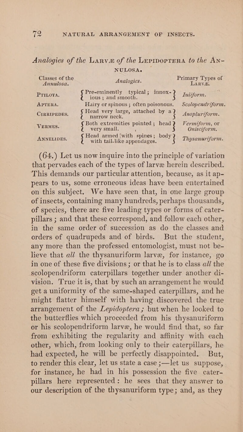 Analogies of the Lary of the Leprpoptrera to the AN- NULOSA. Classes of the ; Primary Types of Annulosa. Analogies. LARVE. Pre-eminently typical; innox- ae PTILOTA. ious ; and smooth. ; Iuitform. APTERA. Hairy or spinous ; often poisonous. Scolopendriform. Head very large, attached by a be CIRRIPEDES. (eeronieck Anoplurtform. Both extremities pointed ; head Vermiform, or ee: very small. é Onisciform. Head armed ;with spines; body fi ANNELIDES. eatin tai ice appendages. i Thysanuriforne. (64.) Let us now inquire into the principle of variation that pervades each of the types of larve herein described. This demands our particular attention, because, as it ap- pears to us, some erroneous ideas have been entertained on this subject. We have seen that, in one large group of insects, containing many hundreds, perhaps thousands, of species, there are five leading types or forms of cater- pillars ; and that these correspond, and follow each other, in the same order of succession as do the classes and orders of quadrupeds and of birds. But the student, any more than the professed entomologist, must not be- lieve that al/ the thysanuriform larve, for instance, go in one of these five divisions; or that he is to class ail the scolopendriform caterpillars together under another di- vision. True it is, that by such an arrangement he would get a uniformity of the same-shaped caterpillars, and he might flatter himself with having discovered the true arrangement of the Lepidoptera; but when he looked to the butterflies which proceeded from his thysanuriform or his scolopendriform larve, he would find that, so far from exhibiting the regularity and affinity with each other, which, from looking only to their caterpillars, he had expected, he will be perfectly disappointed. But, to render this clear, let us state a case ;—let us suppose, for instance, he had in his possession the five cater- pillars here represented: he sees that they answer to our description of the thysanuriform type; and, as they