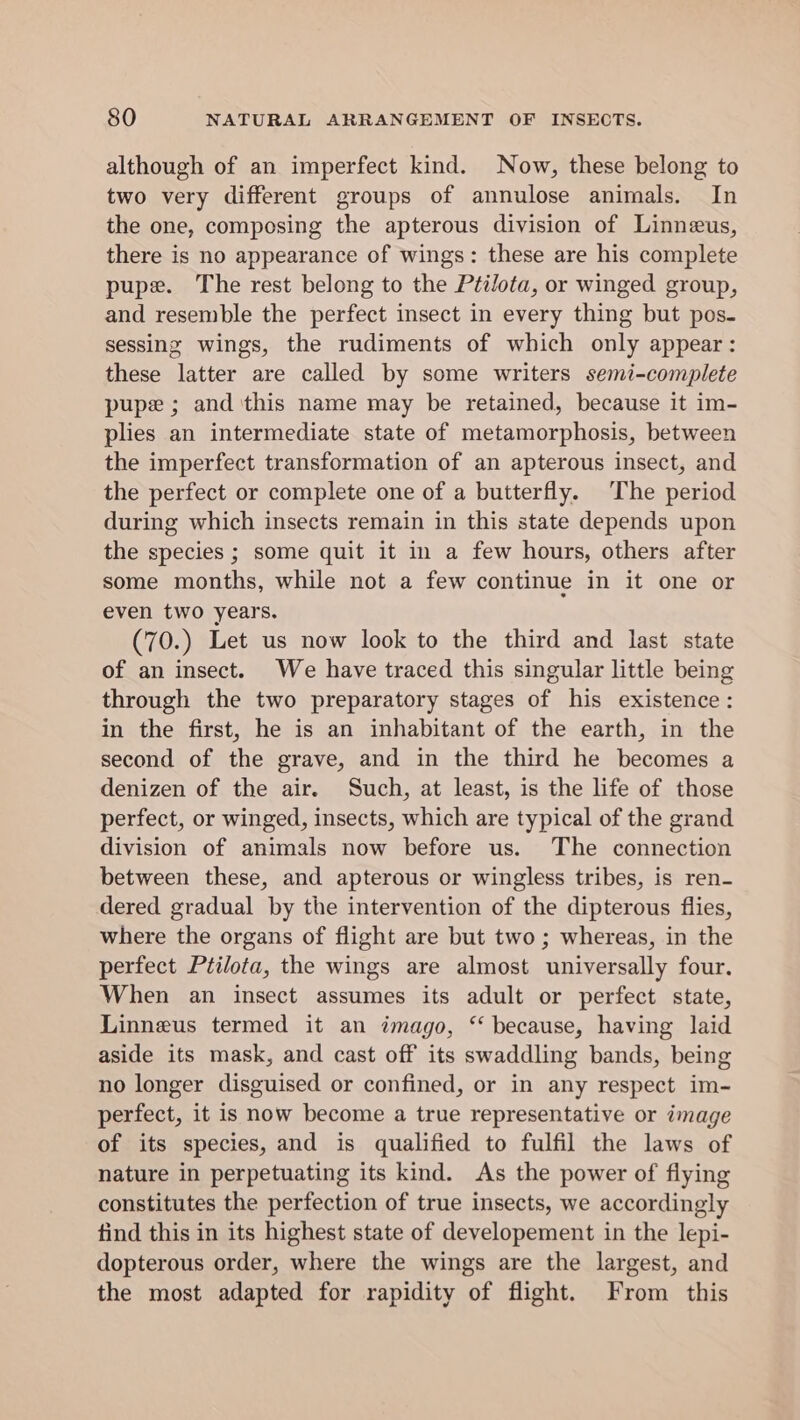although of an imperfect kind. Now, these belong to two very different groups of annulose animals. In the one, composing the apterous division of Linneus, there is no appearance of wings: these are his complete pupe. The rest belong to the Ptilota, or winged group, and resemble the perfect insect in every thing but pos. sessing wings, the rudiments of which only appear: these latter are called by some writers semi-complete pupe ; and ‘this name may be retained, because it im- plies an intermediate state of metamorphosis, between the imperfect transformation of an apterous insect, and the perfect or complete one of a butterfly. The period during which insects remain in this state depends upon the species ; some quit it in a few hours, others after some months, while not a few continue in it one or even two years. (70.) Let us now look to the third and last state of an insect. We have traced this singular little being through the two preparatory stages of his existence: in the first, he is an inhabitant of the earth, in the second of the grave, and in the third he becomes a denizen of the air. Such, at least, is the life of those perfect, or winged, insects, which are typical of the grand division of animals now before us. The connection between these, and apterous or wingless tribes, is ren- dered gradual by the intervention of the dipterous flies, where the organs of flight are but two ; whereas, in the perfect Ptilota, the wings are almost universally four. When an insect assumes its adult or perfect state, Linneus termed it an imago, ‘‘ because, having laid aside its mask, and cast off its swaddling bands, being no longer disguised or confined, or in any respect im- perfect, it is now become a true representative or image of its species, and is qualified to fulfil the laws of nature in perpetuating its kind. As the power of flying constitutes the perfection of true insects, we accordingly tind this in its highest state of developement in the lepi- dopterous order, where the wings are the largest, and the most adapted for rapidity of flight. From this