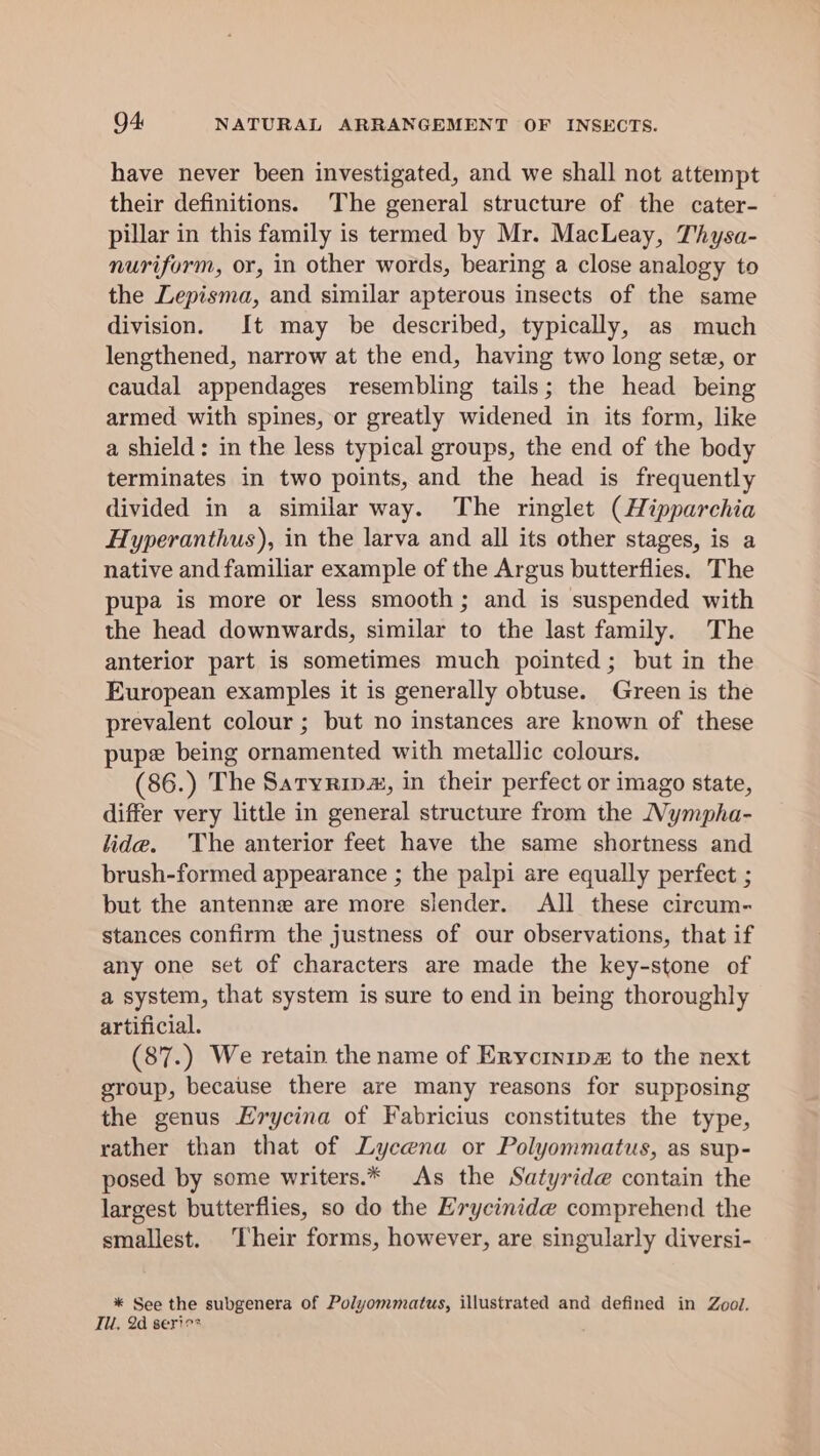 have never been investigated, and we shall not attempt their definitions. The general structure of the cater- pillar in this family is termed by Mr. MacLeay, Thysa- nuriform, or, in other words, bearing a close analogy to the Lepisma, and similar apterous insects of the same division. It may be described, typically, as much lengthened, narrow at the end, having two long sete, or caudal appendages resembling tails; the head being armed with spines, or greatly widened in its form, like a shield: in the less typical groups, the end of the body terminates in two points, and the head is frequently divided in a similar way. The ringlet (Hipparchia Hyperanthus), in the larva and all its other stages, is a native and familiar example of the Argus butterflies. The pupa is more or less smooth; and is suspended with the head downwards, similar to the last family. The anterior part is sometimes much pointed; but in the European examples it is generally obtuse. Green is the prevalent colour ; but no instances are known of these pupe being ornamented with metallic colours. (86.) The Saryrim., in their perfect or imago state, differ very little in general structure from the Wympha- lide. The anterior feet have the same shortness and brush-formed appearance ; the palpi are equally perfect ; but the antenne are more slender. All these circum- stances confirm the justness of our observations, that if any one set of characters are made the key-stone of a system, that system is sure to end in being thoroughly artificial. (87.) We retain the name of Erycinip# to the next group, because there are many reasons for supposing the genus Erycina of Fabricius constitutes the type, rather than that of Lycena or Polyommatus, as sup- posed by some writers.* As the Satyrid@ contain the largest butterflies, so do the Erycinide comprehend the smallest. ‘Their forms, however, are singularly diversi- * See the subgenera of Polyommatus, illustrated and defined in Zool. Tl, 2d serio*