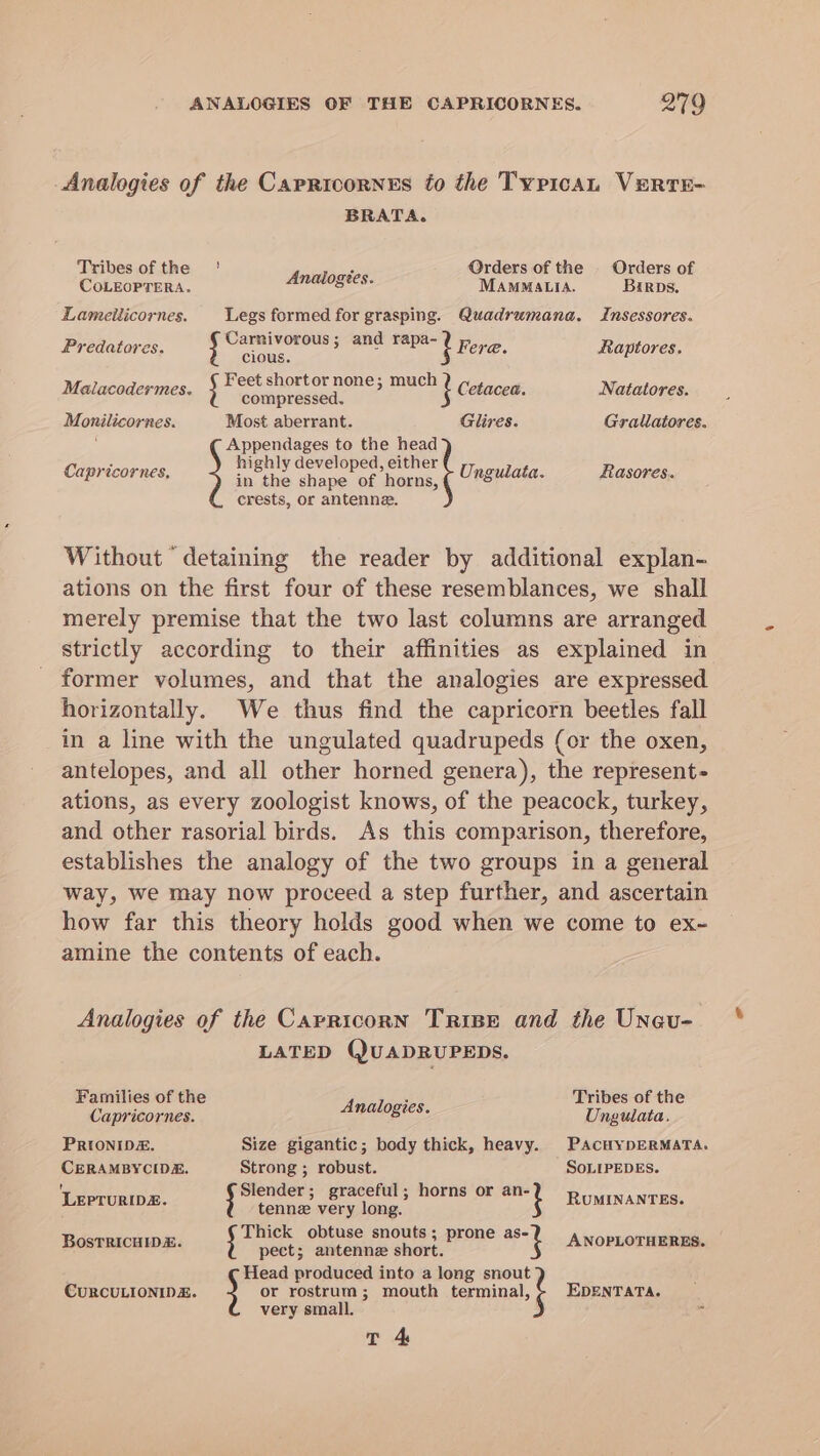 Analogies of the Capricornes to the Typican VEeRTE- BRATA. Tribes of the ' : Orders of the | Orders of COLEOPTERA. Analogtes. MAMMALIA. Birps. Lameilicornes. Legs formed for grasping. Quadrumana. Insessores. Predatores. er sane sey 8 Fere. Raptores. : Feet shortor none; much Mealacodermes. j compressed. 2 Cetacea. Natatores. Monilicornes. Most aberrant. Glires. Gralatores. Appendages to the head Capricornes, Wie ly Geet pen oe Unguiata. Rasores. in the shape of horns, crests, or antenne. Without ‘detaining the reader by additional explan- ations on the first four of these resemblances, we shall merely premise that the two last columns are arranged strictly according to their affinities as explained in former volumes, and that the analogies are expressed horizontally. We thus find the capricorn beetles fall in a line with the ungulated quadrupeds (or the oxen, antelopes, and all other horned genera), the represent- ations, as every zoologist knows, of the peacock, turkey, and other rasorial birds. As this comparison, therefore, establishes the analogy of the two groups in a general way, we may now proceed a step further, and ascertain how far this theory holds good when we come to ex~ amine the contents of each. Analogies of the Carricorn Trips and the Uneu- LATED (JUADRUPEDS. Families of the Tribes of the Capricornes. Analogies. Ungulata. PRIONIDA. Size gigantic; body thick, heavy. PACHYDERMATA. CERAMBYCIDE. Strong ; robust. SoLIPEDES. ! Slender; graceful; horns or ji A ANTES. LEPTURID tenne very long. RUMINANTES Thick obtuse snouts; prone eit F OT . BostTRicHiD&amp; pect; antenne short. ANOPLOTHERES Head produced into a long snout CuRCULIONIDE. or rostrum; mouth terminal, EDENTATA. very small. . tT 4