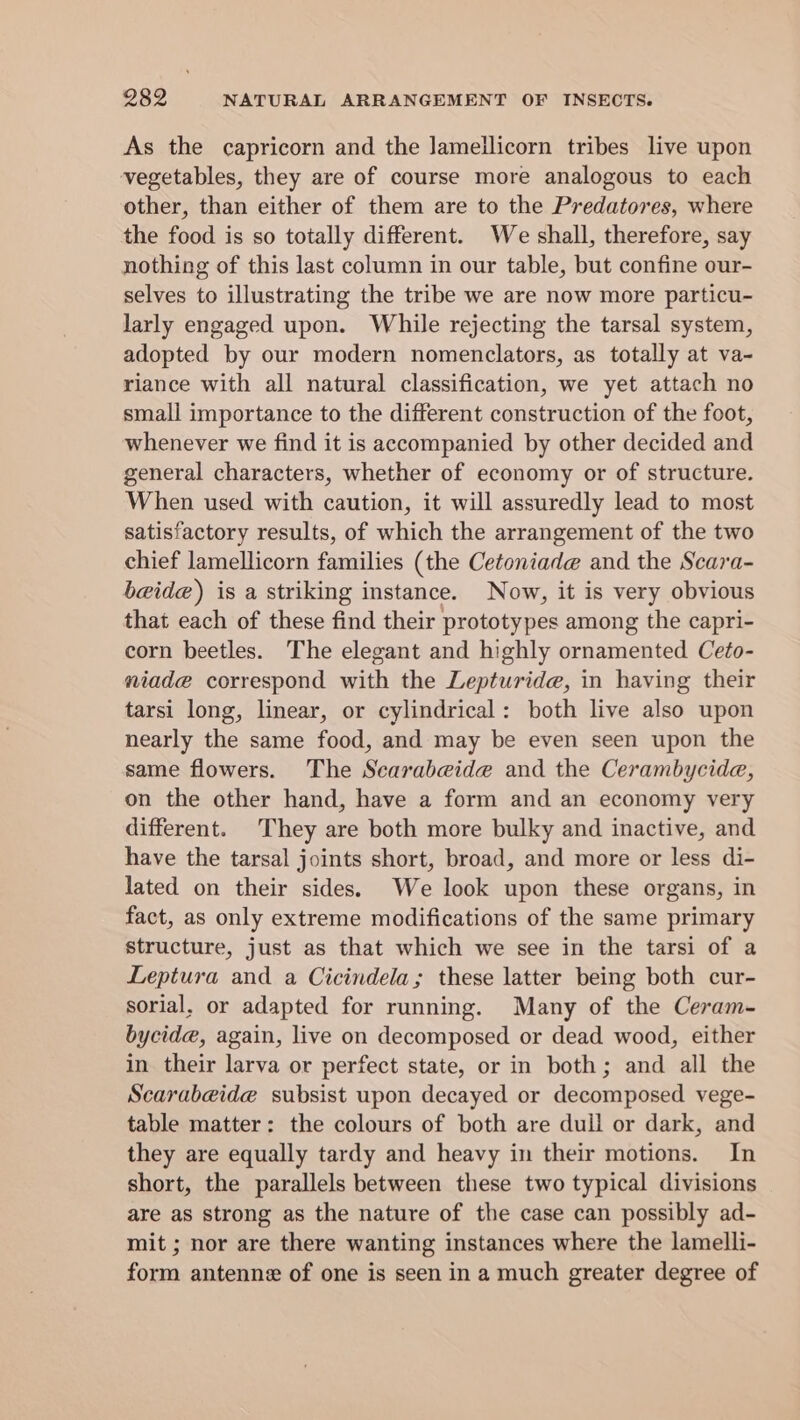As the capricorn and the lameilicorn tribes live upon vegetables, they are of course more analogous to each other, than either of them are to the Predatores, where the food is so totally different. We shall, therefore, say nothing of this last column in our table, but confine our- selves to illustrating the tribe we are now more particu- larly engaged upon. While rejecting the tarsal system, adopted by our modern nomenclators, as totally at va- riance with all natural classification, we yet attach no small importance to the different construction of the foot, whenever we find it is accompanied by other decided and general characters, whether of economy or of structure. When used with caution, it will assuredly lead to most satisfactory results, of which the arrangement of the two chief lamellicorn families (the Cetoniade and the Scara- beide) is a striking instance. Now, it is very obvious that each of these find their prototypes among the capri- corn beetles. The elegant and highly ornamented Ceto- niade correspond with the Lepturide, in having their tarsi long, linear, or cylindrical: both live also upon nearly the same food, and may be even seen upon the same flowers. The Scarabeide and the Cerambycida, on the other hand, have a form and an economy very different. They are both more bulky and inactive, and have the tarsal joints short, broad, and more or less di- lated on their sides. We look upon these organs, in fact, as only extreme modifications of the same primary structure, just as that which we see in the tarsi of a Leptura and a Cicindela; these latter being both cur- sorial, or adapted for running. Many of the Ceram- bycide, again, live on decomposed or dead wood, either in their larva or perfect state, or in both; and all the Scarabeide subsist upon decayed or decomposed vege- table matter: the colours of both are dull or dark, and they are equally tardy and heavy in their motions. In short, the parallels between these two typical divisions are as strong as the nature of the case can possibly ad- mit ; nor are there wanting instances where the lamelli- form antenne of one is seen in a much greater degree of