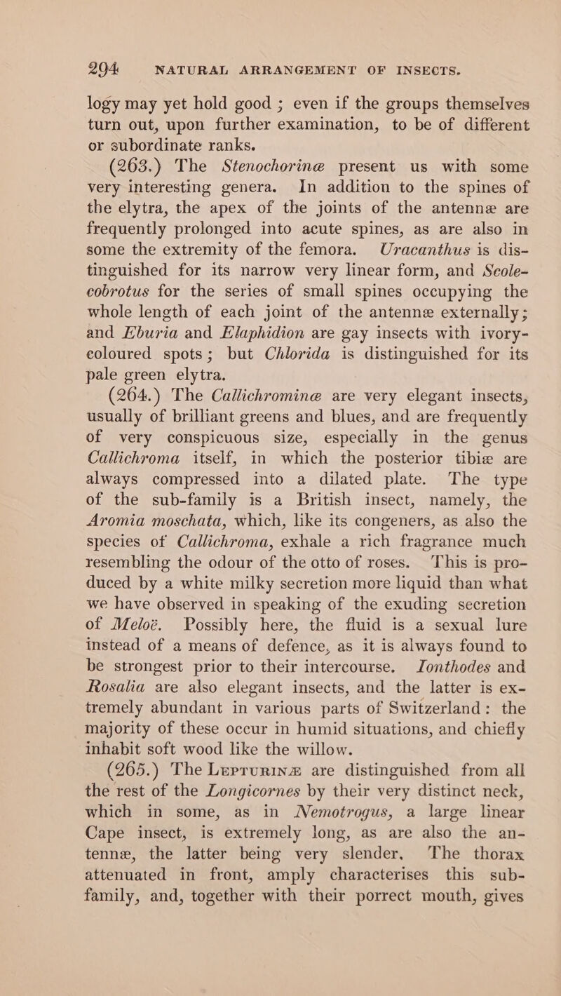 logy may yet hold good ; even if the groups themselves turn out, upon further examination, to be of different or subordinate ranks. (263.) The Stenochorine present us with some very interesting genera. In addition to the spines of the elytra, the apex of the joints of the antenne are frequently prolonged into acute spines, as are also in some the extremity of the femora. Uracanthus is dis- tinguished for its narrow very linear form, and Seole- cobrotus for the series of small spines occupying the whole length of each joint of the antenne externally ; and Hburia and Elaphidion are gay insects with ivory- coloured spots; but Chlorida is distinguished for its pale green elytra. (264.) The Callichromine are very elegant insects, usually of brilliant greens and blues, and are frequently of very conspicuous size, especially in the genus Callichroma itself, in which the posterior tibie are always compressed into a dilated plate. The type of the sub-family is a British insect, namely, the Aromia moschata, which, like its congeners, as also the species of Callichroma, exhale a rich fragrance much resembling the odour of the otto of roses. This is pro- duced by a white milky secretion more liquid than what we have observed in speaking of the exuding secretion of Meloé. Possibly here, the fluid is a sexual lure instead of a means of defence, as it is always found to be strongest prior to their intercourse. Jonthodes and Rosalia are also elegant insects, and the latter is ex- tremely abundant in various parts of Switzerland: the majority of these occur in humid situations, and chiefly inhabit soft wood like the willow. (265.) The Lurrurin# are distinguished from all the rest of the Longicornes by their very distinct neck, which in some, as in Nemotrogus, a large linear Cape insect, is extremely long, as are also the an- tenne, the latter being very slender, The thorax attenuated in front, amply characterises this sub- family, and, together with their porrect mouth, gives