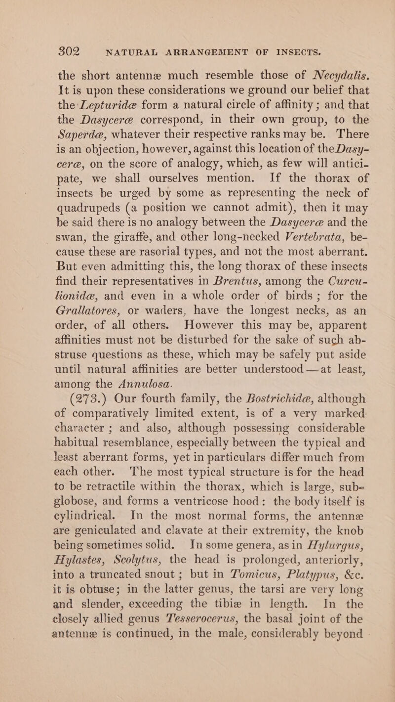 the short antenne much resemble those of Necydalis. It is upon these considerations we ground our belief that the Lepturide form a natural circle of affinity ; and that the Dasycere correspond, in their own group, to the Saperde, whatever their respective ranks may be. There is an objection, however, against this location of the Dasy- cere, on the score of analogy, which, as few will antici- pate, we shall ourselves mention. If the thorax of insects be urged by some as representing the neck of quadrupeds (a position we cannot admit), then it may be said there is no analogy between the Dasycere and the _ swan, the giraffe, and other long-necked Vertebrata, be- cause these are rasorial types, and not the most aberrant. But even admitting this, the long thorax of these insects find their representatives in Brentus, among the Curcu- lionide, and even in a whole order of birds; for the Grallatores, or waders, have the longest necks, as an order, of all others. However this may be, apparent affinities must not be disturbed for the sake of such ab- struse questions as these, which may be safely put aside until natural affinities are better understood —at least, among the Annulosa. (273.) Our fourth family, the Bostrichide, although of comparatively limited extent, is of a very marked character ; and also, although possessing considerable habitual resemblance, especially between the typical and least aberrant forms, yet in particulars differ much from each other. The most typical structure is for the head to be retractile within the thorax, which is large, sub= globose, and forms a ventricose hood: the body itself is cylindrical. In the most normal forms, the antenne are geniculated and clavate at their extremity, the knob being sometimes solid. In some genera, asin Hylurgus, Hylastes, Scolytus, the head is prolonged, anteriorly, into a truncated snout ; but in Tomicus, Platypus, &amp;c. it is obtuse; in the latter genus, the tarsi are very long and slender, exceeding the tibie in length. In the closely allied genus Tesserocerus, the basal joint of the antenne is continued, in the male, considerably beyond -