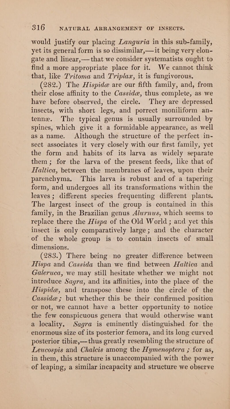 would justify our placing Languria in this sub-family, yet its general form is so dissimilar,— it being very elon- gate and linear,— that we consider systematists ought to find a more appropriate place for it. We cannot think that, like T’vitoma and Triplax, it is fungivorous. (282.) The Hispide are our fifth family, and, from their close affinity to the Casside, thus complete, as we have before observed, the circle. They are depressed insects, with short legs, and porrect moniliform an- tenne. The typical genus is usually surrounded by spines, which give it a formidable appearance, as well asaname. Although the structure of the perfect in- sect associates it very closely with our first family, yet the form and habits of its larva as widely separate them ; for the larva of the present feeds, like that of Haltica, between the membranes of leaves, upon their parenchyma. This larva is robust and of a tapering form, and undergoes all its transformations within the leaves; different species frequenting different plants. The largest insect of the group is contained in this family, in the Brazilian genus Alurnus, which seems to replace there the Hispa of the Old World ; and yet this insect is only comparatively large; and the character of the whole group is to contain insects of small dimensions. (283.) There being no greater difference between Hispa and Cassida than we find between Haltica and Galeruca, we may still hesitate whether we might not introduce Sagra, and its affinities, into the place of the Hispide, and transpose these into the circle of the Casside ; but whether this be their confirmed position or not, we cannot have a better opportunity to notice the few conspicuous genera that would otherwise want a locality. Sagra is eminently distinguished for the enormous size of its posterior femora, and its long curved posterior tibia,—thus greatly resembling the structure of Leucospis and Chalcis among the Hymenoptera ; for as, in them, this structure is unaccompanied with the power of leaping, a similar incapacity and structure we observe