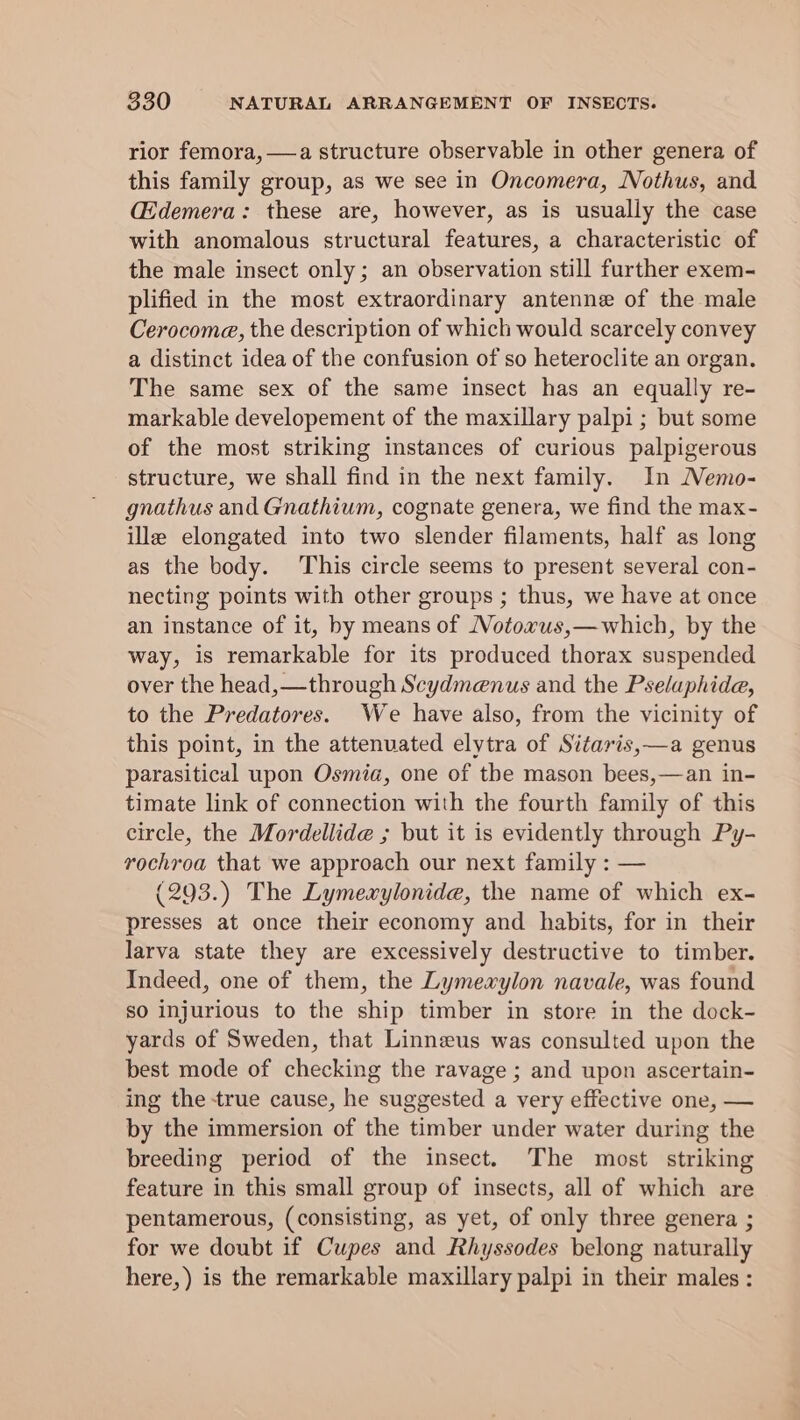 rior femora, —a structure observable in other genera of this family group, as we see in Oncomera, Nothus, and CEdemera: these are, however, as is usually the case with anomalous structural features, a characteristic of the male insect only; an observation still further exem- plified in the most extraordinary antenne of the male Cerocoma, the description of which would scarcely convey a distinct idea of the confusion of so heteroclite an organ. The same sex of the same insect has an equally re- markable developement of the maxillary palpi ; but some of the most striking instances of curious palpigerous structure, we shall find in the next family. In NMemo- gnathus and Gnathium, cognate genera, we find the max- ille elongated into two slender filaments, half as long as the body. This circle seems to present several con- necting points with other groups ; thus, we have at once an instance of it, by means of Votoxus,—which, by the way, is remarkable for its produced thorax suspended over the head, —through Scydmenus and the Pselaphide, to the Predatores. We have also, from the vicinity of this point, in the attenuated elytra of Sitaris,—a genus parasitical upon Osmia, one of the mason bees,—an in- timate link of connection with the fourth family of this circle, the Mordellide ; but it is evidently through Py- rochroa that we approach our next family : — (293.) The Lymexylonide, the name of which ex- presses at once their economy and habits, for in their larva state they are excessively destructive to timber. Indeed, one of them, the Lymewxylon navale, was found so injurious to the ship timber in store in the dock- yards of Sweden, that Linneus was consulted upon the best mode of checking the ravage ; and upon ascertain- ing the true cause, he suggested a very effective one, — by the immersion of the timber under water during the breeding period of the insect. The most striking feature in this small group of insects, all of which are pentamerous, (consisting, as yet, of only three genera ; for we doubt if Cupes and Rhyssodes belong naturally here,) is the remarkable maxillary palpi in their males :