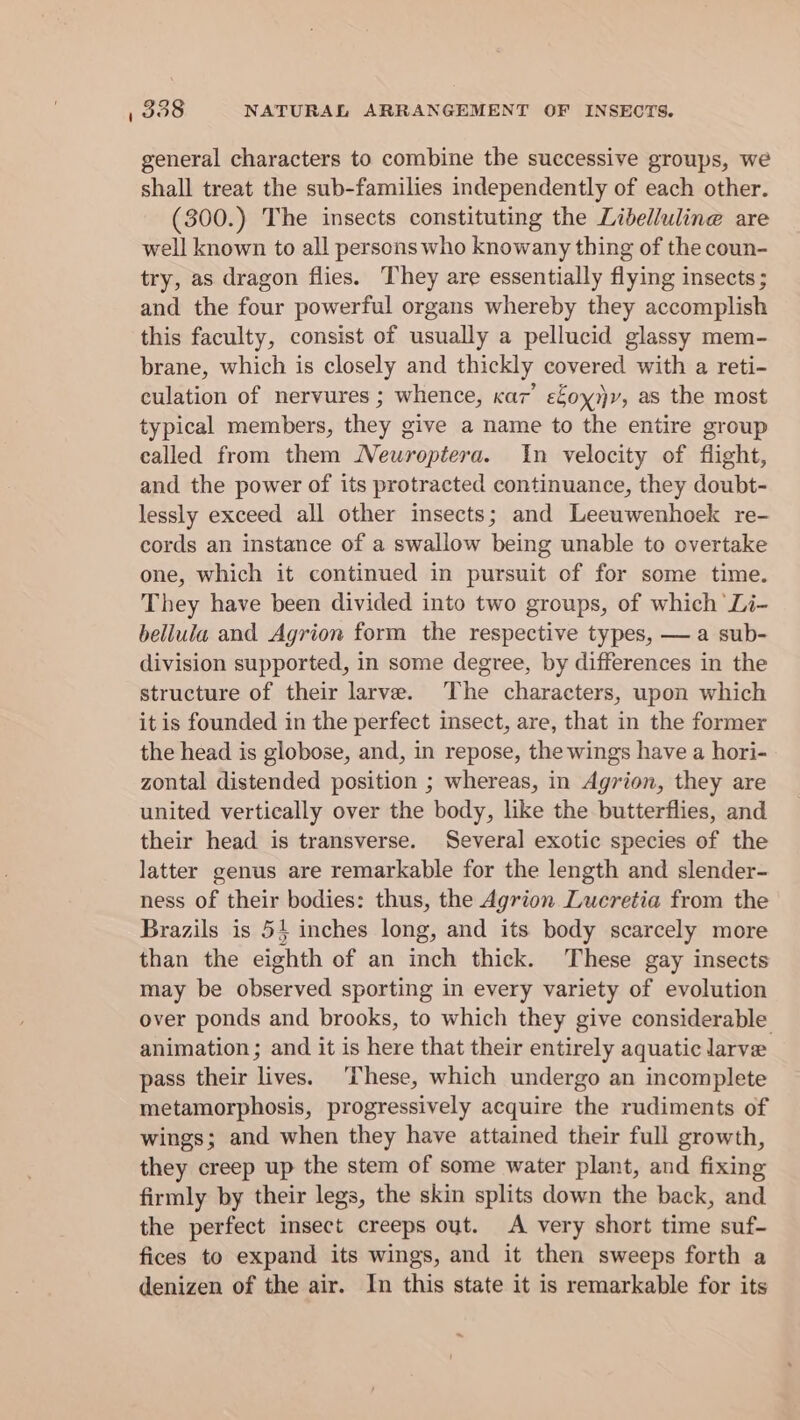 general characters to combine the successive groups, we shall treat the sub-families independently of each other. (300.) The insects constituting the Libelluline are well known to all persons who knowany thing of the coun- try, as dragon flies. They are essentially flying insects ; and the four powerful organs whereby they accomplish this faculty, consist of usually a pellucid glassy mem- brane, which is closely and thickly covered with a reti- culation of nervures ; whence, car’ efoy)v, as the most typical members, they give a name to the entire group called from them Newroptera. In velocity of flight, and the power of its protracted continuance, they doubt- lessly exceed all other insects; and Leeuwenhoek re- cords an instance of a swallow being unable to overtake one, which it continued in pursuit of for some time. They have been divided into two groups, of which Li- bellula and Agrion form the respective types, — a sub- division supported, in some degree, by differences in the structure of their larve. The characters, upon which itis founded in the perfect insect, are, that in the former the head is globose, and, in repose, the wings have a hori- zontal distended position ; whereas, in Agrion, they are united vertically over the body, like the butterflies, and their head is transverse. Several exotic species of the latter genus are remarkable for the length and slender- ness of their bodies: thus, the Agrion Lucretia from the Brazils is 51 inches long, and its body scarcely more than the eighth of an inch thick. These gay insects may be observed sporting in every variety of evolution over ponds and brooks, to which they give considerable animation; and it is here that their entirely aquatic larve pass their lives. ‘These, which undergo an incomplete metamorphosis, progressively acquire the rudiments of wings; and when they have attained their full growth, they creep up the stem of some water plant, and fixing firmly by their legs, the skin splits down the back, and the perfect insect creeps out. A very short time suf- fices to expand its wings, and it then sweeps forth a denizen of the air. In this state it is remarkable for its