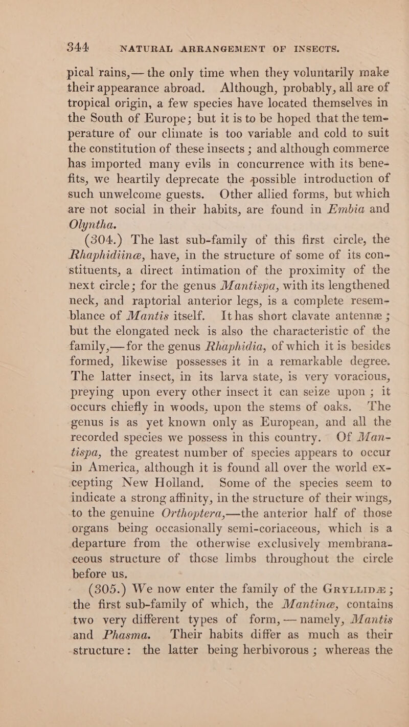 pical rains,— the only time when they voluntarily make their appearance abroad. Although, probably, all are of tropical origin, a few species have located themselves in the South of Europe; but it is to be hoped that the tem- perature of our climate is too variable and cold to suit the constitution of these insects ; and although commerce has imported many evils in concurrence with its bene- fits, we heartily deprecate the possible introduction of such unwelcome guests. Other allied forms, but which are not social in their habits, are found in Embia and Olyntha. (304.) The last sub-family of this first circle, the Rhaphidiine, have, in the structure of some of its con- stituents, a direct intimation of the proximity of the next circle; for the genus Mantispa, with its lengthened neck, and raptorial anterior legs, is a complete resem- blance of Mantis itself. Ithas short clavate antenne ; but the elongated neck is also the characteristic of the family,—for the genus Rhaphidia, of which it is besides formed, likewise possesses it in a remarkable degree. The latter insect, in its larva state, is very voracious, preying upon every other insect it can seize upon ; it occurs chiefly in woods, upon the stems of oaks. The genus is as yet known only as European, and all the recorded species we possess in this country. Of Man- tispa, the greatest number of species appears to occur in America, although it is found all over the world ex- cepting New Holland. Some of the species seem to indicate a strong affinity, in the structure of their wings, to the genuine Orthoptera,—the anterior half of those organs being occasionally semi-coriaceous, which is a departure from the otherwise exclusively membrana- ceous structure of those limbs throughout the circle before us. (305.) We now enter the family of the Gryiiip” ; the first sub-family of which, the Mantine, contains two very different types of form,— namely, Mantis and Phasma. Their habits differ as much as their structure: the latter being herbivorous ; whereas the