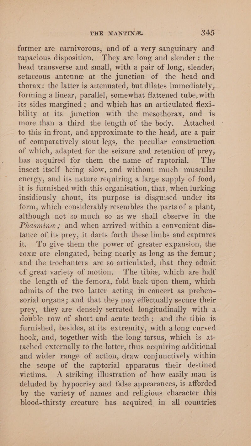 former are carnivorous, and of a very sanguinary and rapacious disposition. ‘They are long and slender : the head transverse and small, with a pair of long, slender, setaceous antenne at the junction of the head and thorax: the latter is aitenuated, but dilates immediately, forming a linear, parallel, somewhat flattened tube, with its sides margined ; and which has an articulated flexi- bility at its junction with the mesothorax, and is more than a third the length of the body. Attached to this in front, and approximate to the head, are a pair of comparatively stout legs, the peculiar construction of which, adapted for the seizure and retention of prey, has acquired for them the name of raptorial. The insect itself being slow, and without much muscular energy, and its nature requiring a large supply of food, it is furnished with this organisation, that, when lurking insidiously about, its purpose is disguised under its ' form, which considerably resembles the parts of a plant, although not so much so as we shall observe in the Phasmine ; and when arrived within a convenient dis- tance of its prey, it darts forth these limbs and captures it. To give them the power of greater expansion, the coxe are elongated, being nearly as long as the femur; and the trochanters are so articulated, that they admit of great variety of motion. The tibie, which are half the length of the femora, fold back upon them, which admits of the two latter acting in concert as prehen~ sorial organs; and that they may effectually secure their prey, they are densely serrated longitudinally with a double row of short and acute teeth ; and the tibia is furnished, besides, at its extremity, with along curved hook, and, together with the long tarsus, which is at- tached externally to the latter, thus acquiring additional and wider range of action, draw conjunctively within the scope of the raptorial apparatus their destined victims. A striking illustration of how easily man is deluded by hypocrisy and false appearances, is afforded by the variety of names and religious character this blood-thirsty creature has acquired in all countries