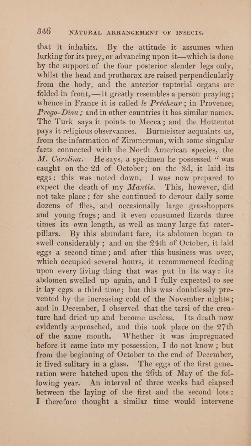 that it inhabits. By the attitude it assumes when lurking for its prey, or advancing upon it—which is done by the support of the four posterior slender legs only, whilst the head and prothorax are raised perpendicularly from the body, and the anterior raptorial organs are folded in front, —it greatly resembles a person praying ; whence in France it is called le Précheur ; in Provence, Prego-Diou ; and in other countries it has similar names. The Turk says it points to Mecca; and the Hottentot pays it religious observances. Burmeister acquaints us, from the information of Zimmerman, with some singular facts connected with the North American species, the M. Carolina. Hesays, a specimen he possessed “ was caught on the 2d of October; on the 3d, it laid its eggs: this was noted down. I was now prepared to expect the death of my Mantis. This, however, did not take place ; for she continued to devour daily some dozens of flies, and occasionally large grasshoppers and young frogs; and it even consumed lizards three times its own length, as well as many large fat cater- pillars. By this abundant fare, its abdomen began to swell considerably ; and on the 24th of October, it laid eggs a second time; and after this business was over, which occupied several hours, it recommenced feeding upon every living thing that was put in its way: its abdomen swelled up again, and I fully expected to see it lay eggs a third time; but this was doubtlessly pre- vented by the increasing cold of the November nights ; and in December, I observed that the tarsi of the crea- ture had dried up and become useless. Its death now evidently approached, and this took place on the 27th of the same month, Whether it was impregnated before it came into my possession, I do not know ; but from the beginning of October to the end of December, it lived solitary in a glass. The eggs of the first gene- ration were hatched upon the 26th of May of the fol- lowing year. An interval of three weeks had elapsed between the laying of the first and the second lots: I therefore thought a similar time would intervene