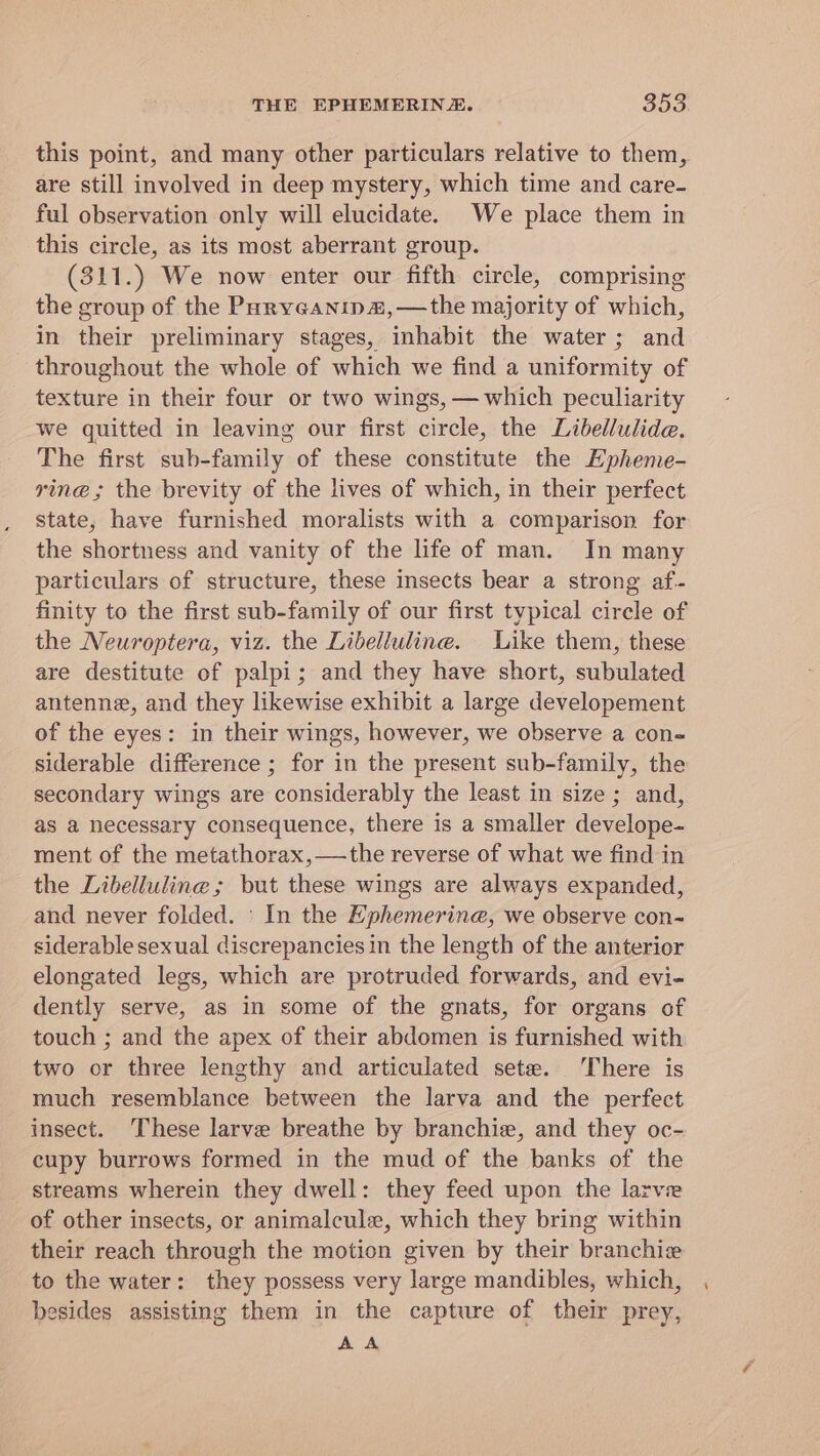 this point, and many other particulars relative to them, are still involved in deep mystery, which time and care- ful observation only will elucidate. We place them in this circle, as its most aberrant group. (311.) We now enter our fifth circle, comprising the group of the Paryveanipa,—the majority of which, in their preliminary stages, inhabit the water ; and throughout the whole of which we find a uniformity of texture in their four or two wings, — which peculiarity we quitted in leaving our first circle, the Libellulide, The first sub-family of these constitute the Hpheme- rine; the brevity of the lives of which, in their perfect state, have furnished moralists with a comparison for the shortness and vanity of the life of man. In many particulars of structure, these insects bear a strong af.- finity to the first sub-family of our first typical circle of the Neuroptera, viz. the Libelluline. Like them, these are destitute of palpi; and they have short, subulated antenne, and they likewise exhibit a large developement of the eyes: in their wings, however, we observe a con-= siderable difference ; for in the present sub-family, the secondary wings are considerably the least in size; and, as a necessary consequence, there is a smaller develope- ment of the metathorax,—the reverse of what we find in the Libelluline; but these wings are always expanded, and never folded. ' In the Ephemerine, we observe con- siderable sexual discrepancies in the length of the anterior elongated legs, which are protruded forwards, and evi- dently serve, as in some of the gnats, for organs of touch ; and the apex of their abdomen is furnished with two or three lengthy and articulated sete. There is much resemblance between the larva and the perfect insect. ‘These larve breathe by branchie, and they oc- cupy burrows formed in the mud of the banks of the streams wherein they dwell: they feed upon the larve of other insects, or animalcule, which they bring within their reach through the motion given by their branchie to the water: they possess very large mandibles, which, besides assisting them in the capture of their prey, AA
