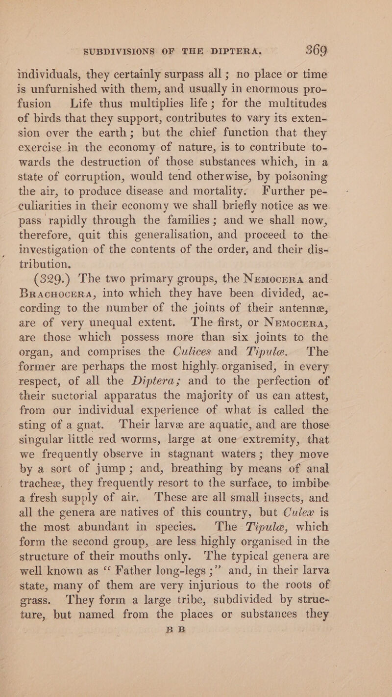 individuals, they certainly surpass all; no place or time is unfurnished with them, and usually in enormous pro- fusion Life thus multiplies life; for the multitudes of birds that they support, contributes to vary its exten- sion over the earth; but the chief function that they exercise in the economy of nature, is to contribute to- wards the destruction of those substances which, in a state of corruption, would tend otherwise, by poisoning the air, to produce disease and mortality. Further pe- culiarities in their economy we shall briefly notice as we pass rapidly through the families; and we shall now, therefore, quit this generalisation, and proceed to the investigation of the contents of the order, and their dis- tribution. (329.) 'The two primary groups, the Nemocrra and Bracnocera, into which they have been divided, ac- cording to the number of the joints of their antenne, are of very unequal extent. The first, or Nemocera, are those which possess more than six joints to the organ, and comprises the Culices and Tipule. The former are perhaps the most highly. organised, in every respect, of all the Diptera; and to the perfection of their suctorial apparatus the majority of us can attest, from our individual experience of what is called the sting of a gnat. Their larve are aquatic, and are those singular little red worms, large at one extremity, that we frequently observe in stagnant waters; they move by a sort of jump; and, breathing by means of anal trachee, they frequently resort to the surface, to imbibe a fresh supply of air. These are all small insects, and all the genera are natives of this country, but Cudew is the most abundant in species. The Tipule, which form the second group, are less highly organised in the structure of their mouths only. The typical genera are well known as “ Father long-legs ;”’ and, in their larva state, many of them are very injurious to the roots of grass. They form a large tribe, subdivided by struc- ture, but named from the places or substances they BB