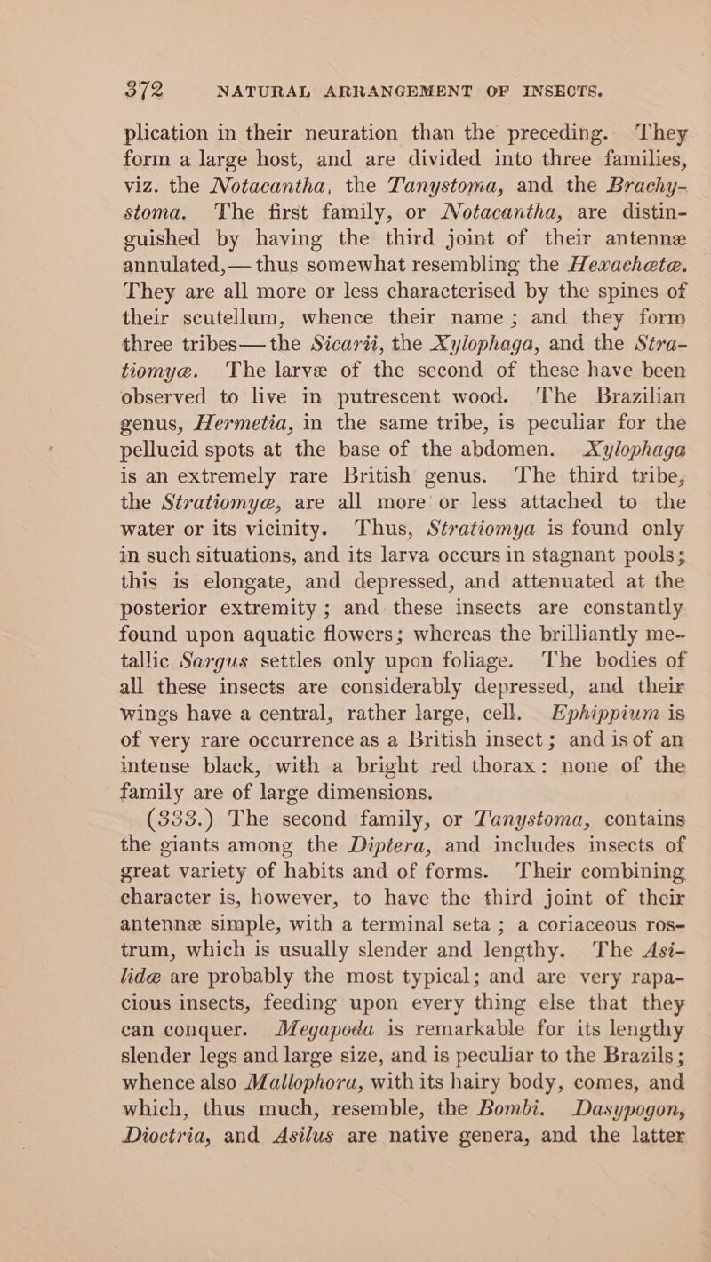 plication in their neuration than the preceding. They form a large host, and are divided into three families, viz. the Notacantha, the Tanystoma, and the Brachy- stoma. The first family, or Notacantha, are distin- guished by having the third joint of their antenne annulated,— thus somewhat resembling the Hewachete. They are all more or less characterised by the spines of their scutellum, whence their name; and they form three tribes—the Sicarii, the Xylophaga, and the Stra- tiomye. ‘The larve of the second of these have been observed to live in putrescent wood. The Brazilian genus, Hermetia, in the same tribe, is peculiar for the pellucid spots at the base of the abdomen. Xylophage is an extremely rare British genus. The third tribe, the Stratiomye, are all more or less attached to the water or its vicinity. Thus, Stratiomya is found only in such situations, and its larva occurs in stagnant pools; this is elongate, and depressed, and attenuated at the posterior extremity ; and these insects are constantly found upon aquatic flowers; whereas the brilliantly me- tallic Sargus settles only upon foliage. The bodies of all these insects are considerably depressed, and their wings have a central, rather large, cell. Uphippium is of very rare occurrence as a British insect; and is of an intense black, with a bright red thorax: none of the family are of large dimensions. (333.) The second family, or Tanystoma, contains the giants among the Diptera, and includes insects of great variety of habits and of forms. Their combining character is, however, to have the third joint of their antenne simple, with a terminal seta ; a coriaceous ros- trum, which is usually slender and lengthy. The Asi- lide are probably the most typical; and are very rapa- cious insects, feeding upon every thing else that they can conquer. Megapoda is remarkable for its lengthy slender legs and large size, and is peculiar to the Brazils; whence also Mallophoru, with its hairy body, comes, and which, thus much, resemble, the Bombi. Dasypogon, Dioctria, and Asilus are native genera, and the latter