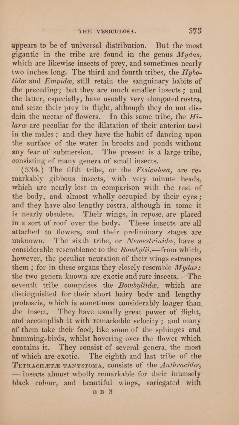 THE VBSICULOSA. 3738 appears to be of universal distribution. But the most gigantic in the tribe are found in the genus Mydas, which are likewise insects of prey, and sometimes nearly two inches long. The third and fourth tribes, the Hybo- tide and Empide, still retain the sanguinary habits of the preceding; but they are much smaller insects; and the latter, especially, have usually very elongated rostra, and seize their prey in flight, although they do not dis- dain the nectar of flowers. In this same tribe, the Hi- lare.are peculiar for the dilatation of their anterior tarsi in the males ; and they have the habit of dancing upon the surface of the water in brooks and ponds without any fear of submersion. The present is a large tribe, consisting of many genera of small insects. (334.) The fifth tribe, or the Vesiculosa, are re- markably gibbous insects, with very minute heads, which are nearly lost in comparison with the rest of the body, and almost wholly occupied by their eyes ; and they have also lengthy rostra, although in some it is nearly obsolete. Their wings, in repose, are placed ‘in a sort of roof over the body. These insects are all attached to flowers, and their preliminary stages are unknown. The sixth tribe, or Nemestrinide, have a considerable resemblance to the Bombylii,—from which, however, the peculiar neuration of their wings estranges them ; for in these organs they closely resemble Mydas: the two genera known are exotic and rare insects. The seventh tribe comprises the Bombyliide, which are distinguished for their short hairy body and lengthy proboscis, which is sometimes considerably longer than, the insect. They have usually great power of flight, and accomplish it with remarkable velocity ; and many of them take their food, like some of the sphinges and humming-birds, whilst hovering over the flower which contains it. They consist of several genera, the most of which are exotic. The eighth and last tribe of the TETRACHEATA TANYSTOMA, consists of the Anthracide, — insects almost wholly remarkable for their intensely black colour, and beautiful wings, variegated with