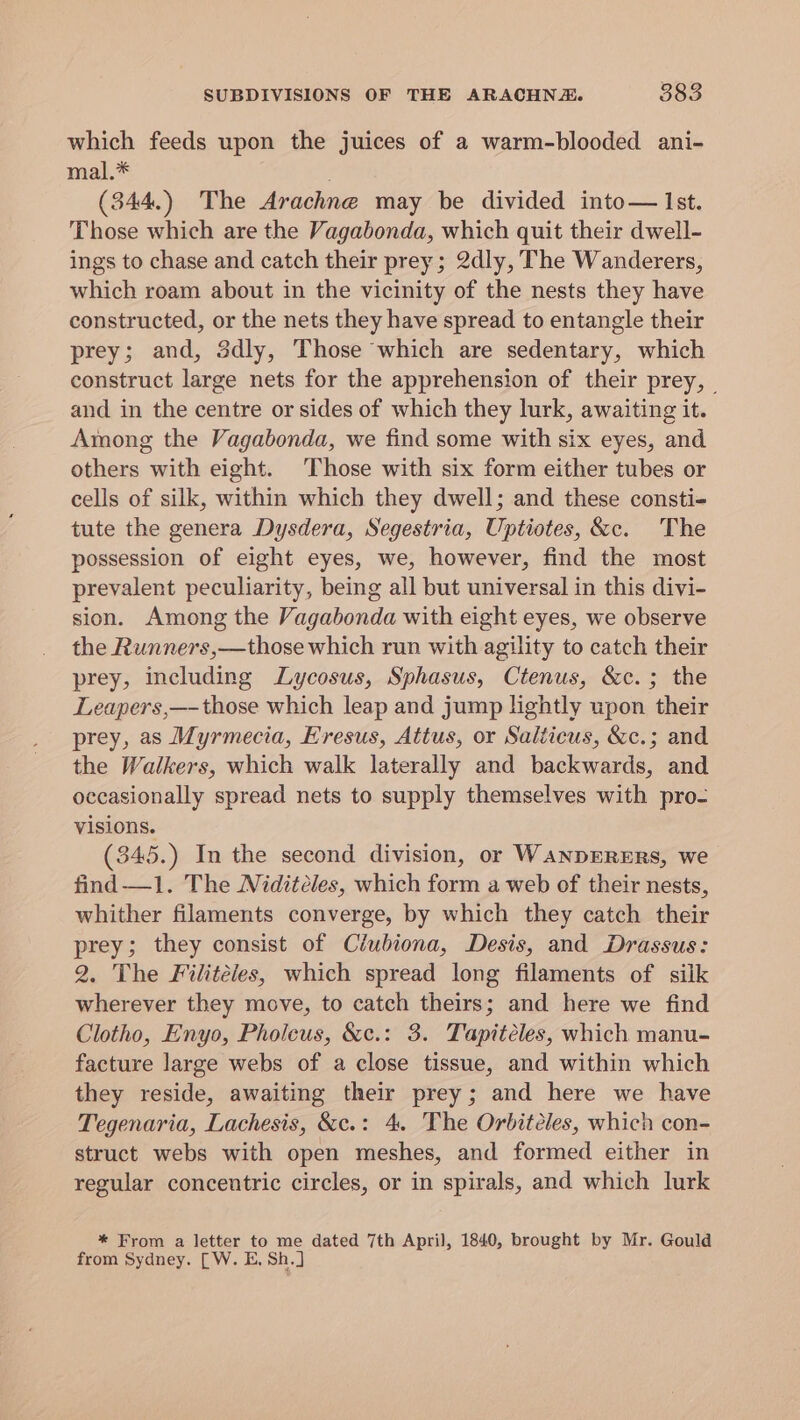 which feeds upon the juices of a warm-blooded ani- mal.* ; (344.) The Arachne may be divided into— Ist. Those which are the Vagabonda, which quit their dwell- ings to chase and catch their prey; 2dly, The Wanderers, which roam about in the vicinity of the nests they have constructed, or the nets they have spread to entangle their prey; and, 3dly, Those which are sedentary, which construct large nets for the apprehension of their prey, | and in the centre or sides of which they lurk, awaiting it. Among the Vagabonda, we find some with six eyes, and others with eight. Those with six form either tubes or cells of silk, within which they dwell; and these consti- tute the genera Dysdera, Segestria, Uptiotes, &amp;c. The possession of eight eyes, we, however, find the most prevalent peculiarity, being all but universal in this divi- sion. Among the Vagabonda with eight eyes, we observe the Runners,—those which run with agility to catch their prey, including Lycosus, Sphasus, Ctenus, &amp;c.; the Leapers,—-those which leap and jump lightly upon their prey, as Myrmecia, Eresus, Attus, or Salticus, &amp;c.; and the Walkers, which walk laterally and backwards, and occasionally spread nets to supply themselves with pro- visions. (345.) In the second division, or WANDERERS, we find—1. The Niditéeles, which form a web of their nests, whither filaments converge, by which they catch their prey; they consist of Ciubiona, Desis, and Drassus: 2. The Filitéles, which spread long filaments of silk wherever they move, to catch theirs; and here we find Clotho, Enyo, Pholeus, &amp;c.: 3. Tapitéles, which manu- facture large webs of a close tissue, and within which they reside, awaiting their prey; and here we have Tegenaria, Lachesis, &amp;c.: 4. The Orbitéles, which con- struct webs with open meshes, and formed either in regular concentric circles, or in spirals, and which lurk * From a letter to me dated 7th April, 1840, brought by Mr. Gould from Sydney. [W. E, Sh.]