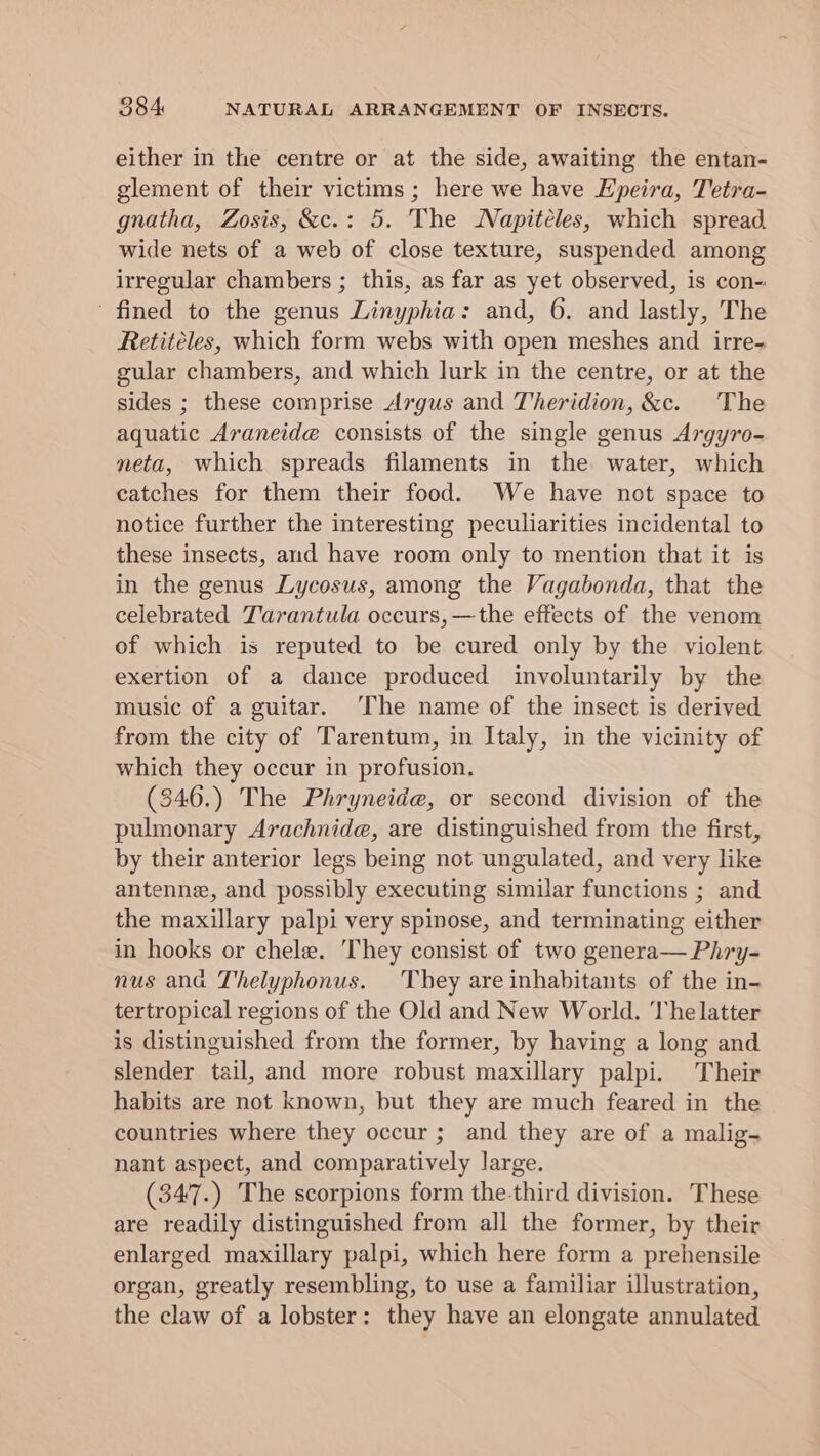 either in the centre or at the side, awaiting the entan- glement of their victims; here we have Epeira, Tetra- gnatha, Zosis, &amp;c.: 5. The Napitéeles, which spread wide nets of a web of close texture, suspended among irregular chambers ; this, as far as yet observed, is con- ' fined to the genus Linyphia: and, 6. and lastly, The Retitéles, which form webs with open meshes and irre- gular chambers, and which lurk in the centre, or at the sides ; these comprise Argus and Theridion, &amp;c. The aquatic Araneide consists of the single genus Argyro- meta, which spreads filaments in the water, which catches for them their food. We have not space to notice further the interesting peculiarities incidental to these insects, and have room only to mention that it is in the genus Lycosus, among the Vagabonda, that the celebrated Tarantula occurs, —the effects of the venom of which is reputed to be cured only by the violent exertion of a dance produced involuntarily by the music of a guitar. The name of the insect is derived from the city of Tarentum, in Italy, in the vicinity of which they occur in profusion. (346.) The Phryneide, or second division of the pulmonary Arachnide, are distinguished from the first, by their anterior legs being not ungulated, and very like antenne, and possibly executing similar functions ; and the maxillary palpi very spinose, and terminating either in hooks or chele. They consist of two genera— Phry- nus ana Thelyphonus. They are inhabitants of the in- tertropical regions of the Old and New World. The latter is distinguished from the former, by having a long and slender tail, and more robust maxillary palpi. Their habits are not known, but they are much feared in the countries where they occur ; and they are of a malig- nant aspect, and comparatively large. (347.) The scorpions form the-third division. These are readily distinguished from all the former, by their enlarged maxillary palpi, which here form a prehensile organ, greatly resembling, to use a familiar illustration, the claw of a lobster: they have an elongate annulated