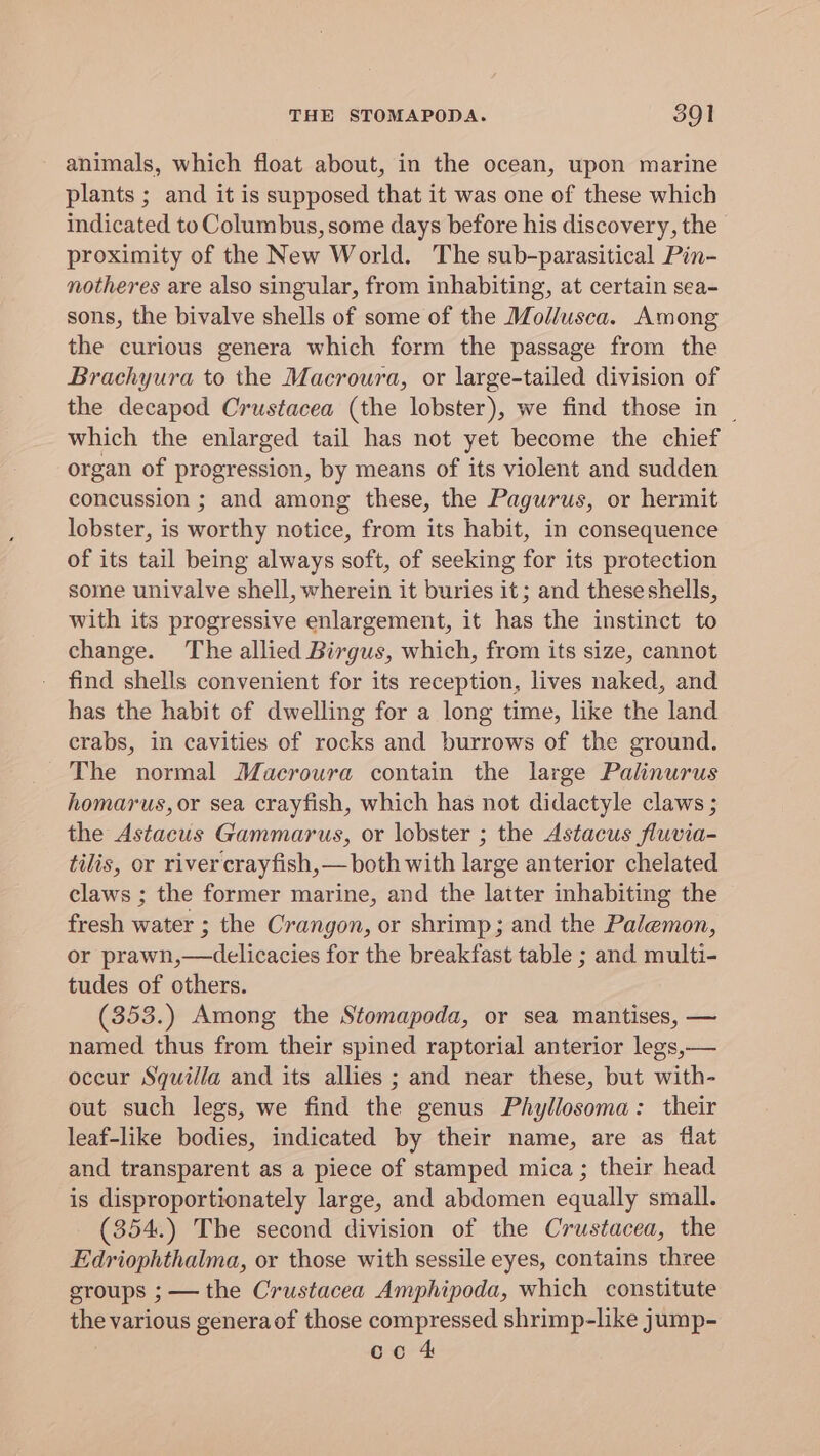 animals, which float about, in the ocean, upon marine plants ; and it is supposed that it was one of these which indicated to Columbus, some days before his discovery, the - proximity of the New World. The sub-parasitical Pin- notheres are also singular, from inhabiting, at certain sea- sons, the bivalve shells of some of the Mollusca. Among the curious genera which form the passage from the Brachyura to the Macroura, or large-tailed division of the decapod Crustacea (the lobster), we find those in | which the enlarged tail has not yet become the chief organ of progression, by means of its violent and sudden concussion ; and among these, the Pagurus, or hermit lobster, is worthy notice, from its habit, in consequence of its tail being always soft, of seeking for its protection some univalve shell, wherein it buries it ; and these shells, with its progressive enlargement, it has the instinct to change. The allied Birgus, which, from its size, cannot find shells convenient for its reception, lives naked, and has the habit of dwelling for a long time, like the land crabs, in cavities of rocks and burrows of the ground. The normal Macroura contain the large Palinurus homarus, or sea crayfish, which has not didactyle claws ; the Astacus Gammarus, or lobster ; the Astacus fluvia- tilis, or river crayfish, — both with large anterior chelated claws ; the former marine, and the latter inhabiting the fresh water ; the Crangon, or shrimp; and the Palemon, or prawn,—delicacies for the breakfast table ; and multi- tudes of others. (353.) Among the Stomapoda, or sea mantises, — named thus from their spined raptorial anterior legs,— occur Squilla and its allies ; and near these, but with- out such legs, we find the genus Phyllosoma: their leaf-like bodies, indicated by their name, are as flat and transparent as a piece of stamped mica; their head is disproportionately large, and abdomen equally small. (354.) The second division of the Crustacea, the Edriophthalma, or those with sessile eyes, contains three groups ; — the Crustacea Amphipoda, which constitute the various generaof those compressed shrimp-like jump- co 4