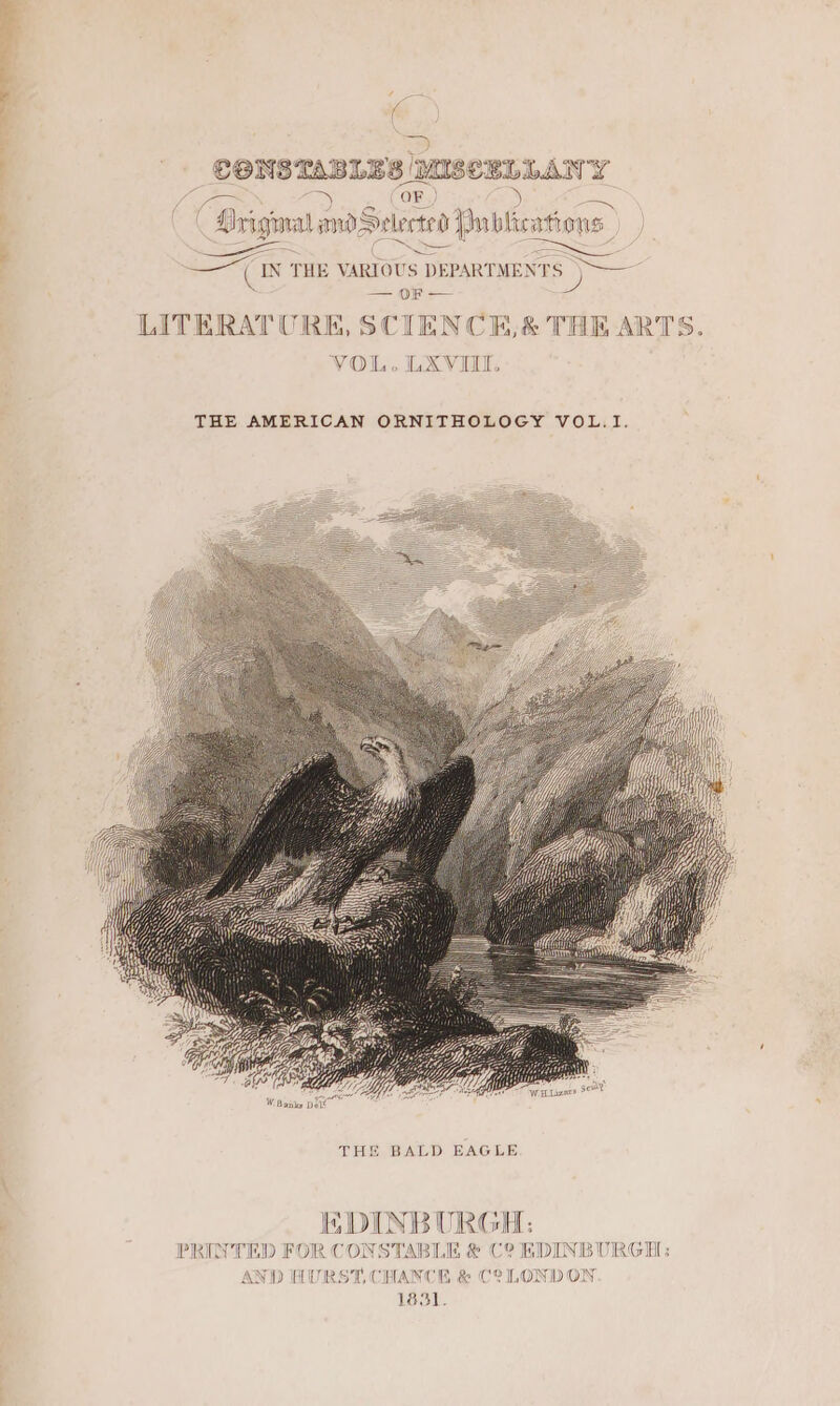 =e CONSTABLE: 3 inane: SLLANY = OF ») c: “Briginal amd Selected | Inblications ) | Eee ae es =e THE VARIOUS. DEPAR’ [MENT Die —= OF =— LITERATURE, SCIENCE,&amp; THE ARTS. VOL. LXVIIL. THE AMERICAN ORNITHOLOGY VOL.I. i DINBURGH: PRINTED FOR CONSTABLE &amp; C9 EDINBURGH: AND HURST, C oo 4, &amp; C2 LONDON 1831.