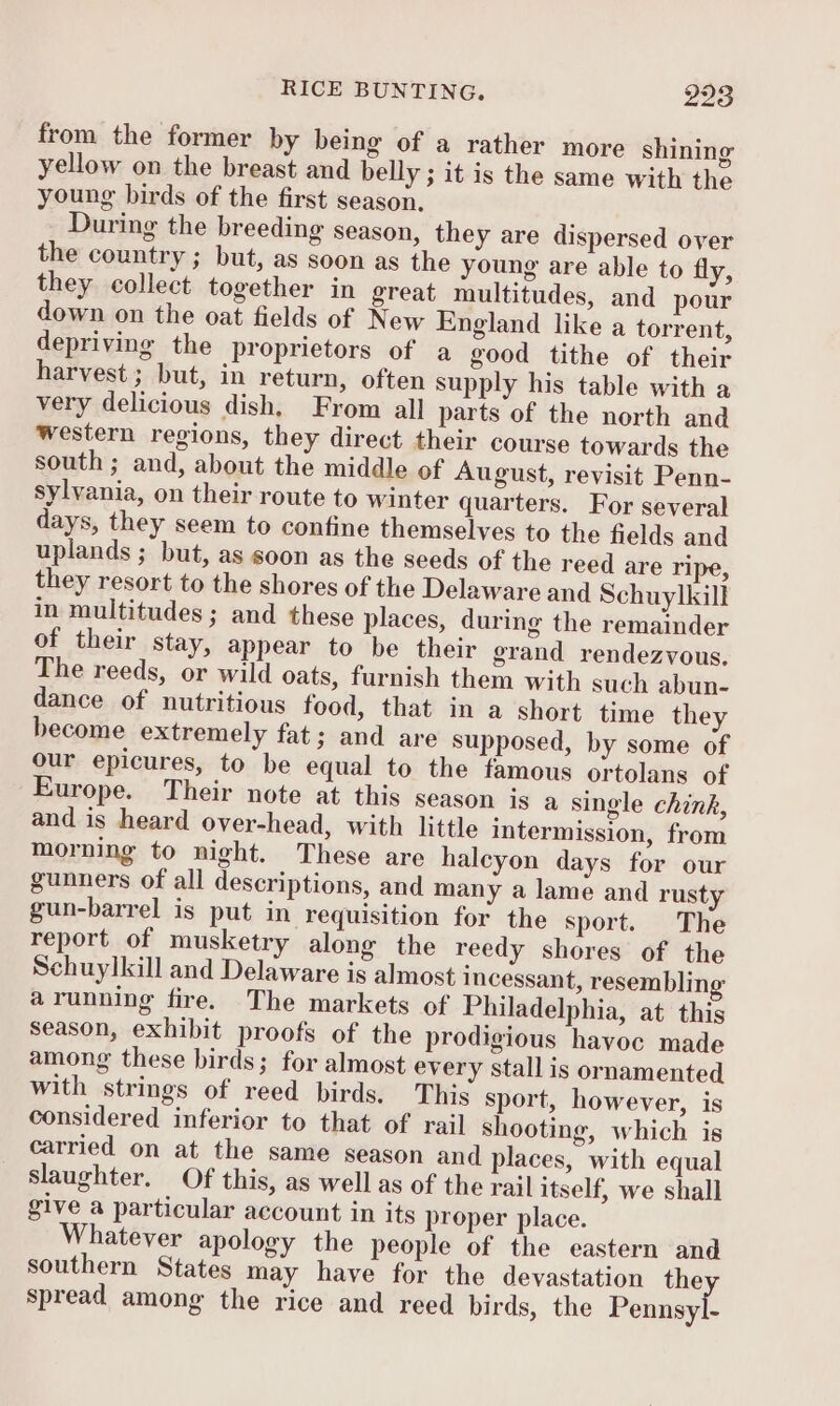 from the former by being of a rather more shining yellow on the breast and belly ; it is the same with the young birds of the first season. During the breeding season, they are dispersed over the country ; but, as soon as the young are able to fly, they collect together in great multitudes, and pour down on the oat fields of New England like a torrent, depriving the proprietors of a good tithe of their harvest ; but, in return, often supply his table with a very delicious dish, From all parts of the north and western regions, they direct their course towards the south ; and, about the middle of August, revisit Penn- sylvania, on their route to winter quarters. For several days, they seem to confine themselves to the fields and uplands ; but, as soon as the seeds of the reed are ripe, they resort to the shores of the Delaware and Schuylkill in multitudes ; and these places, during the remainder of their stay, appear to be their grand rendezvous. The reeds, or wild oats, furnish them with such abun- dance of nutritious food, that in a short time they become extremely fat; and are supposed, by some of our epicures, to be equal to the famous ortolans of Europe. Their note at this season is a single chink, and is heard over-head, with little intermission, from morning to night. These are haleyon days for our gunners of all descriptions, and many a lame and rusty gun-barrel is put in requisition for the sport. The report of musketry along the reedy shores of the Schuylkill and Delaware is almost incessant, resembling arunning fire. The markets of Philadelphia, at this season, exhibit proofs of the prodigious havoc made among these birds; for almost every stall is ornamented with strings of reed birds, This sport, however, is considered inferior to that of rail shooting, which is carried on at the same season and places, with equal slaughter. Of this, as well as of the rail itself, we shall give a particular account in its proper place. hatever apology the people of the eastern and southern States may have for the devastation the spread among the rice and reed birds, the Pennsyl-