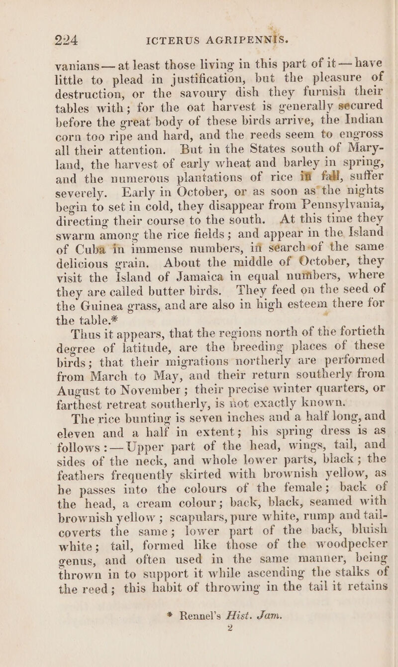 vanians — at least those living in this part of it — have little to plead in justification, but the pleasure of destruction, or the savoury dish they furnish their tables with; for the oat harvest is generally secured before the great body of these birds arrive, the Indian corn too ripe and hard, and the reeds seem to engross all their attention. But in the States south of Mary- land, the harvest of early wheat and barley in spring, and the numerous plantations of rice ifi fall, suffer severely. Early in October, or as soon as the nights begin to set in cold, they disappear from Pennsylvania, directing their course to the south. At this time they swarm among the rice fields; and appear in the Island of Cuba in immense numbers, ifi séarcheof the same delicious grain. About the middle of October, they visit the Island of Jamaica in equal nurtibers, where they are called butter birds. They feed on the seed of the Guinea grass, and are also in high esteem there for the table.* ¢ Thus it appears, that the regions north of the fortieth degree of latitude, are the breeding places of these birds; that their migrations northerly are performed from March to May, and their return southerly from August to November ; their precise winter quarters, or farthest retreat southerly, is not exactly known. The rice bunting is seven inches and a half long, and eleven and a half in extent; his spring dress is as follows:— Upper part of the head, wings, tail, and sides of the neck, and whole lower parts, black; the feathers frequently skirted with brownish yellow, as he passes into the colours of the female; back of the head, a cream colour; back, black, seamed with brownish yellow ; scapulars, pure white, rump and tail- coverts the same; lower part of the back, bluish white; tail, formed like those of the woodpecker genus, and often used in the same manner, being thrown in to support it while ascending the stalks of the reed; this habit of throwing in the tail it retains * Rennel’s Hist. Jam. 2