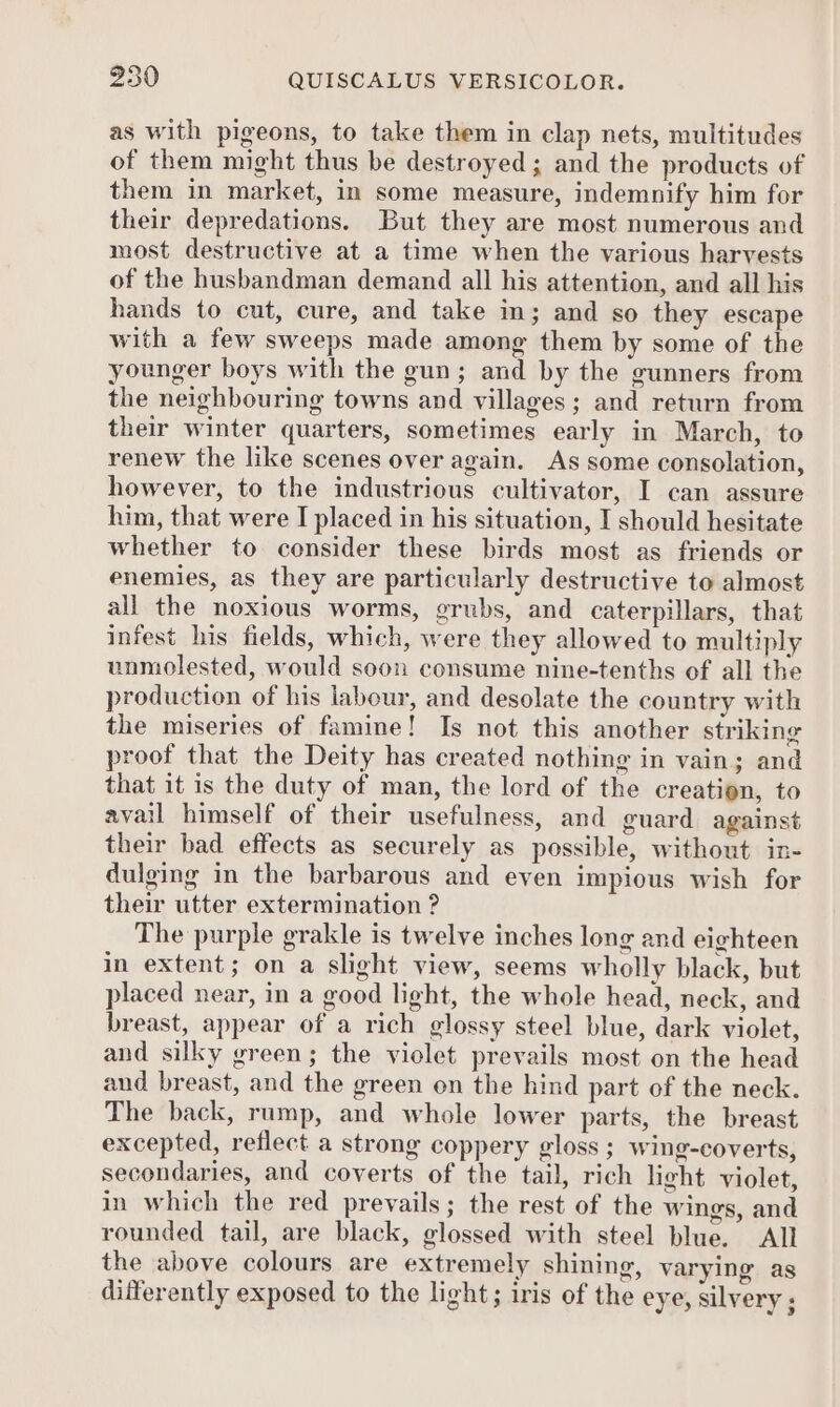 as with pigeons, to take them in clap nets, multitudes of them might thus be destroyed; and the products of them in market, in some measure, indemnify him for their depredations. But they are most numerous and most destructive at a time when the various harvests of the husbandman demand all his attention, and all his hands to cut, cure, and take in; and so they escape with a few sweeps made among them by some of the younger boys with the gun; and by the gunners from the neighbouring towns and villages; and return from their winter quarters, sometimes early in March, to renew the like scenes over again. As some consolation, however, to the industrious cultivator, I can assure him, that were I placed in his situation, I should hesitate whether to consider these birds most as friends or enemies, as they are particularly destructive to almost all the noxious worms, grubs, and caterpillars, that infest his fields, which, were they allowed to multiply unmolested, would soon consume nine-tenths of all the production of his labour, and desolate the country with the miseries of famine! Is not this another striking proof that the Deity has created nothing in vain; and that it is the duty of man, the lord of the creation, to avail himself of their usefulness, and guard against their bad effects as securely as possible, without in- dulging in the barbarous and even impious wish for their utter extermination ? The purple grakle is twelve inches long and eighteen in extent; on a slight view, seems wholly black, but placed near, in a good light, the whole head, neck, and breast, appear of a rich glossy steel blue, dark violet, and silky green; the violet prevails most on the head and breast, and the green on the hind part of the neck. The back, rump, and whole lower parts, the breast excepted, reflect a strong coppery gloss ; wing-coverts, secondaries, and coverts of the tail, rich hight violet, in which the red prevails; the rest of the wings, and rounded tail, are black, glossed with steel blue. All the above colours are extremely shining, varying as differently exposed to the light; iris of the eye, silvery ;