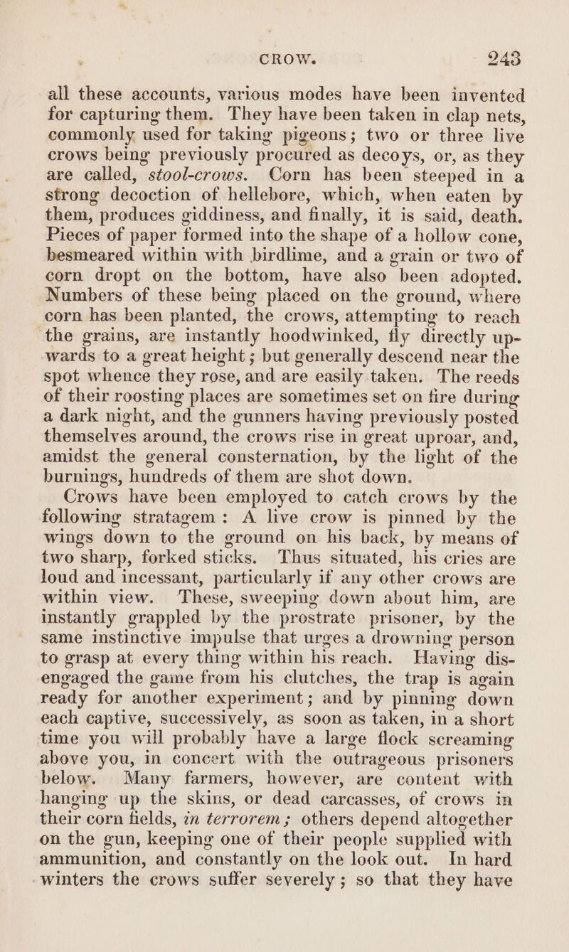 all these accounts, various modes have been invented for capturing them. They have been taken in clap nets, commonly, used for taking pigeons; two or three live crows being previously procured as decoys, or, as they are called, stool-crows. Corn has been steeped in a strong decoction of hellebore, which, when eaten by them, produces giddiness, and finally, it is said, death. Pieces of paper formed into the shape of a hollow cone, besmeared within with birdlime, and a grain or two of corn dropt on the bottom, have also been adopted. Numbers of these being placed on the ground, where corn has been planted, the crows, attempting to reach ‘the grains, are instantly hoodwinked, fly directly up- wards to a great height ; but generally descend near the spot whence they rose, and are easily taken. The reeds of their roosting places are sometimes set on fire during a dark night, and the gunners having previously posted themselves around, the crows rise in great uproar, and, amidst the general consternation, by the light of the burnings, hundreds of them are shot down. Crows have been employed to catch crows by the following stratagem: A live crow is pinned by the wings down to the ground on his back, by means of two sharp, forked sticks. Thus situated, his cries are loud and incessant, particularly if any other crows are within view. These, sweeping down about him, are instantly grappled by the prostrate prisoner, by the same instinctive impulse that urges a drowning person to grasp at every thing within his reach. Having dis- engaged the game from his clutches, the trap is again ready for another experiment; and by pinning down each captive, successively, as soon as taken, in a short time you will probably have a large flock screaming above you, in concert with the outrageous prisoners below. Many farmers, however, are content with hanging up the skins, or dead carcasses, of crows in their corn fields, in terrorem; others depend altogether on the gun, keeping one of their people supplied with ammunition, and constantly on the look out. In hard -winters the crows suffer severely ; so that they have