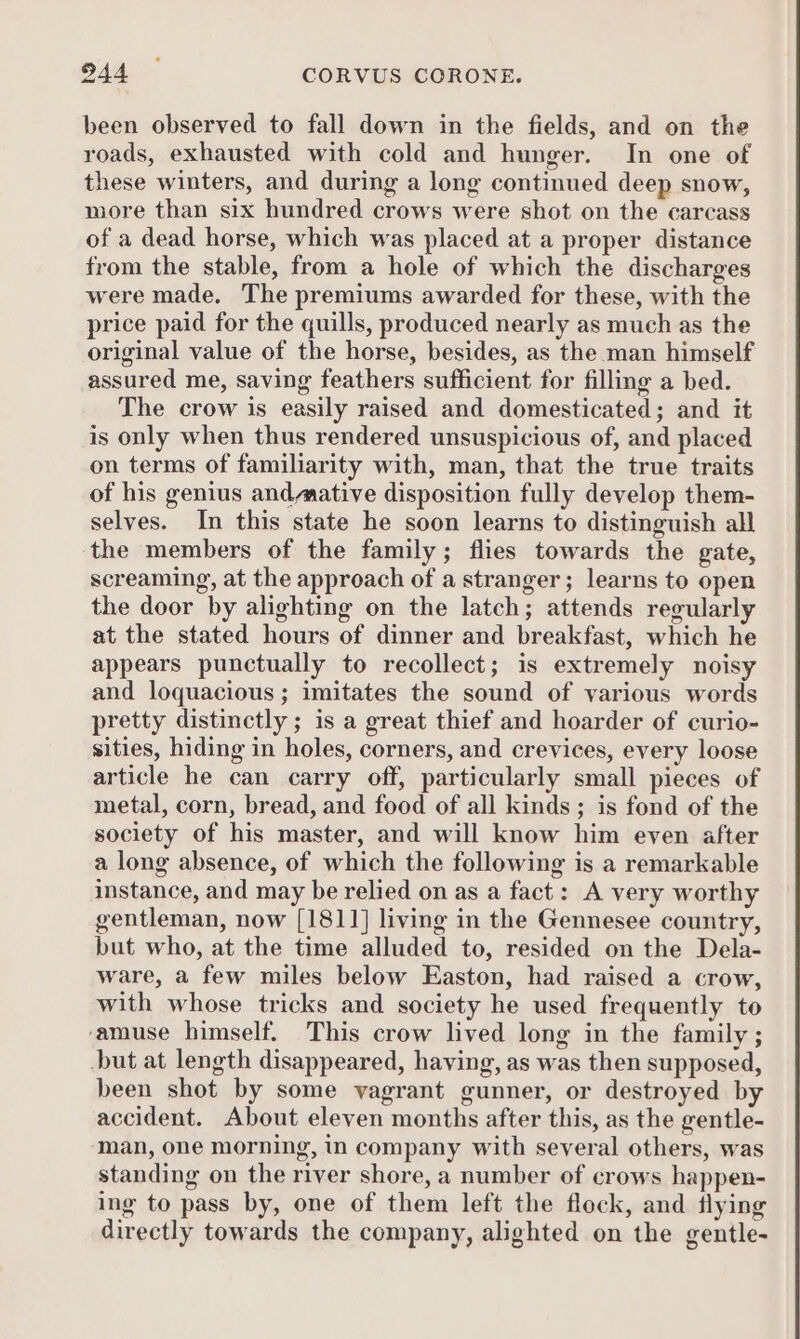 been observed to fall down in the fields, and on the roads, exhausted with cold and hunger. In one of these winters, and during a long continued deep snow, more than six hundred crows were shot on the carcass of a dead horse, which was placed at a proper distance from the stable, from a hole of which the discharges were made. The premiums awarded for these, with the price paid for the quills, produced nearly as much as the original value of the horse, besides, as the man himself assured me, saving feathers sufficient for filling a bed. The crow is easily raised and domesticated; and it is only when thus rendered unsuspicious of, and placed on terms of familiarity with, man, that the true traits of his genius andmative disposition fully develop them- selves. In this state he soon learns to distinguish all the members of the family; flies towards the gate, screaming, at the approach of a stranger; learns to open the door by alighting on the latch; attends regularly at the stated hours of dinner and breakfast, which he appears punctually to recollect; is extremely noisy and loquacious ; imitates the sound of various words pretty distinctly ; is a great thief and hoarder of curio- sities, hiding in holes, corners, and crevices, every loose article he can carry off, particularly small pieces of metal, corn, bread, and food of all kinds; is fond of the society of his master, and will know him even after a long absence, of which the following is a remarkable instance, and may be relied on as a fact: A very worthy gentleman, now [1811] living in the Gennesee country, but who, at the time alluded to, resided on the Dela- ware, a few miles below Easton, had raised a crow, with whose tricks and society he used frequently to ‘amuse himself. This crow lived long in the family ; but at length disappeared, having, as was then supposed, been shot by some vagrant gunner, or destroyed b accident. About eleven months after this, as the gentle- man, one morning, in company with several others, was standing on the river shore, a number of crows happen- ing to pass by, one of them left the flock, and flying directly towards the company, alighted on the gentle-