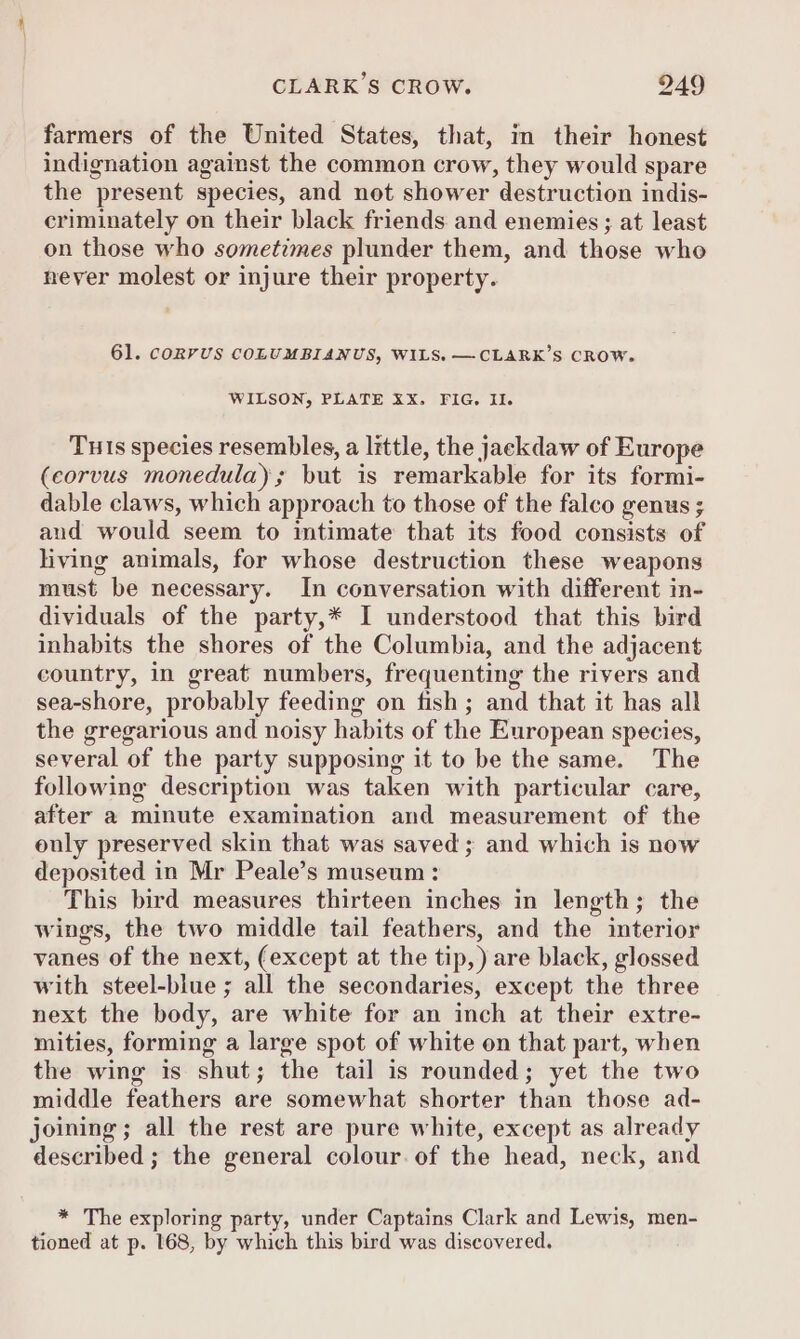 farmers of the United States, that, in their honest indignation against the common crow, they would spare the present species, and not shower destruction indis- criminately on their black friends and enemies ; at least on those who sometimes plunder them, and those who never molest or injure their property. 61. CORVUS COLUMBIANUS, WILS. —CLARK’S CROW. WILSON, PLATE XX, FIG. Il. Tuls species resembles, a little, the jackdaw of Europe (eorvus monedula); but is remarkable for its formi- dable claws, which approach to those of the falco genus ; and would seem to intimate that its food consists of living animals, for whose destruction these weapons must be necessary. In conversation with different in- dividuals of the party,* I understood that this bird inhabits the shores of the Columbia, and the adjacent country, in great numbers, frequenting the rivers and sea-shore, probably feeding on fish ; and that it has all the gregarious and noisy habits of the European species, several of the party supposing it to be the same. The following description was taken with particular care, after a minute examination and measurement of the only preserved skin that was saved; and which is now deposited in Mr Peale’s museum : This bird measures thirteen inches in length; the wings, the two middle tail feathers, and the interior vanes of the next, (except at the tip, ) are black, glossed with steel-blue ; all the secondaries, except the three next the body, are white for an inch at their extre- mities, forming a large spot of white on that part, when the wing is shut; the tail is rounded; yet the two middle feathers are somewhat shorter than those ad- joining; all the rest are pure white, except as already described ; the general colour. of the head, neck, and * The exploring party, under Captains Clark and Lewis, men- tioned at p. 168, by which this bird was discovered.