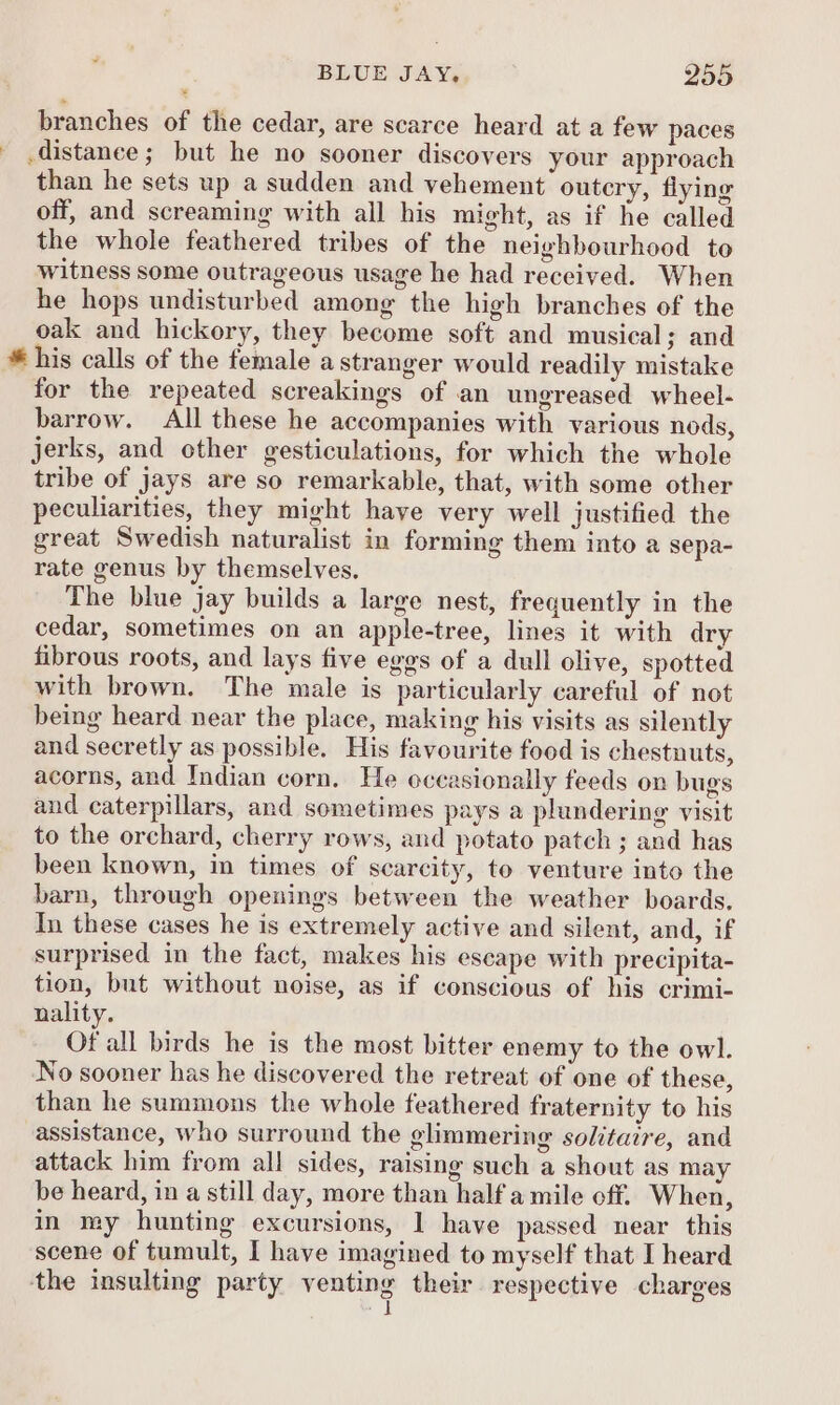 ~ BLUE JAY. 255 branches of the cedar, are scarce heard at a few paces _ distance; but he no sooner discovers your approach than he sets up a sudden and vehement outcry, flying off, and screaming with all his might, as if he called the whole feathered tribes of the neighbourhood to witness some outrageous usage he had received. When he hops undisturbed among the high branches of the oak and hickory, they become soft and musical; and * his calls of the female a stranger would readily mistake for the repeated screakings of an ungreased wheel- barrow. All these he accompanies with various nods, jerks, and other gesticulations, for which the whole tribe of jays are so remarkable, that, with some other peculiarities, they might have very well justified the great Swedish naturalist in forming them into a sepa- rate genus by themselves. The blue jay builds a large nest, frequently in the cedar, sometimes on an apple-tree, lines it with dry fibrous roots, and lays five eggs of a dull olive, spotted with brown. The male is particularly careful of not being heard near the place, making his visits as silently and secretly as possible. His favourite food is chestnuts, acorns, and Indian corn, He occasionally feeds on bugs and caterpillars, and sometimes pays a plundering visit to the orchard, cherry rows, and potato patch ; and has been known, in times of scarcity, to venture into the barn, through openings between the weather boards. Tn these cases he is extremely active and silent, and, if surprised in the fact, makes his escape with precipita- tion, but without noise, as if conscious of his crimi- nality. Of all birds he is the most bitter enemy to the owl. No sooner has he discovered the retreat of one of these, than he summons the whole feathered fraternity to his assistance, who surround the glimmering solitaire, and attack him from all sides, raising such a shout as may be heard, in a still day, more than half a mile off. When, in my hunting excursions, 1 have passed near this scene of tumult, I have imagined to myself that I heard the insulting party venting their respective charges J