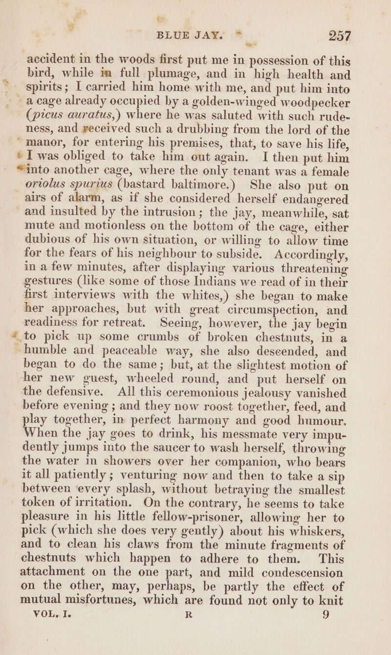 Lt BLUE JAW. -* 257 La . ee . accident in the woods first put me in possession of this bird, while im full plumage, and in high health and * spirits; I carried him home with me, and put him into . acage already occupied by a golden-winged woodpecker (picus auratus,) where he was saluted with such rude- ness, and received such a drubbing from the lord of the “manor, for entering his premises, that, to save his life, * I was obliged to take him out again. I then put him “into another cage, where the only tenant was a female oriolus spurius (bastard baltimore.) She also put on airs of alarm, as if she considered herself endangered and insulted by the intrusion; the jay, meanwhile, sat mute and motionless on the bottom of the cage, either dubious of his own situation, or willing to allow time for the fears of his neighbour to subside. Accordingly, in a few minutes, after displaying various threatening gestures (like some of those Indians we read of in their first interviews with the whites,) she began to make her approaches, but with great circumspection, and readiness for retreat. Seeing, however, the jay begin @ to pick up some crumbs of broken chestnuts, in a humble and peaceable way, she also descended, and began to do the same; but, at the slightest motion of her new guest, wheeled round, and put herself on the defensive. All this ceremonious jealousy vanished before evening ; and they now roost together, feed, and play together, in perfect harmony and good humour. When the jay goes to drink, his messmate very impu- dently jumps into the saucer to wash herself, throwing the water in showers over her companion, who bears it all patiently ; venturing now and then to take a sip between ‘every splash, without betraying the smallest token of irritation. On the contrary, he seems to take pleasure in his little fellow-prisoner, allowing her to pick (which she does very gently) about his whiskers, and to clean his claws from the minute fragments of chestnuts which happen to adhere to them. This attachment on the one part, and mild condescension on the other, may, perhaps, be partly the effect of mutual misfortunes, which are found not only to knit VOL, I. R 9