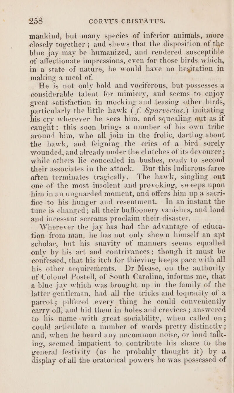 mankind, but many species of inferior animals, more closely together ; and shews that the disposition of the blue jay may be humanized, and rendered susceptible of affectionate impressions, even for those birds which, in a state of nature, he would have no hesitation in making a meal of. He is not only bold and vociferous, but possesses a considerable talent for mimicry, and seems to enjoy great satisfaction in mocking and teasing other birds, particularly the little hawk (jf: Sparverius,) imitating his cry wherever he sees him, and squealing out as if caught: this soon brings a number of his own tribe around him, who all join in the frolic, darting about the hawk, and feigning the cries of a bird sorely wounded, and already under the clutches of its devourer ; while others lie concealed in bushes, ready to second their associates in the attack. But this ludicrous farce often terminates tragically. The hawk, singling out one of the most insolent and provoking, sweeps upon him in an unguarded moment, and offers him up a sacri- fice to his hunger and resentment. In an instant the tune is changed; all their buffoonery vanishes, and loud and incessant screams proclaim their disaster. Wherever the jay has had the advantage of educa- tion from man, he has not only shewn himself an apt scholar, but his suavity of manners seems equalled only by his art and contrivances; though it must be confessed, that his itch for thieving keeps pace with all his other acquirements. Dr Mease, on the authority of Colonel Postell, of South Carolina, informs me, that a blue jay which was brought up in the family of the latter gentleman, had all the tricks and loquacity of a parrot; pilfered every thing he could conveniently carry off, and hid them in holes and crevices ; answered to his name with great sociability, when called on; could articulate a number of words pretty distinctly ; and, when he heard any uncommon noise, or loud talk- ing, seemed impatient to contribute his share to the general festivity (as he probably thought it) by a display of all the oratorical powers he was possessed of