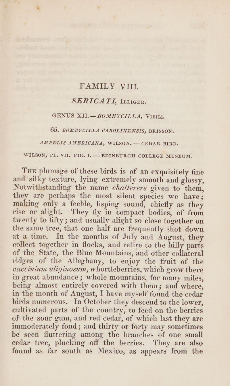 FAMILY VIII. SERICATT, Itticer. GENUS XII.— BOMBYCILLA, Vie. 65. BOMBYCILLA CAROLINENSIS, BRISSON. AMPELIS AMERICANA, WILSON. — CEDAR BIRD. WILSON, PL. VII. FIG, I. —EDINBURGH COLLEGE MUSEUM. Tue plumage of these birds is of an exquisitely fine and silky texture, lying extremely smooth and glossy, Notwithstanding the name chatterers given to them, they are perhaps the most silent species we have; making only a feeble, lisping sound, chiefly as they rise or alight. They fly in compact bodies, of from twenty to fifty; and usually alight so close together on the same tree, that one half are frequently shot down at a time. In the months of July and August, they collect together in flocks, and retire to the hilly parts of the State, the Blue Mountains, and other collateral ridges of the Alleghany, to enjoy the fruit of the vaccinum uliginosum, whortleberries, which grow there in great abundance ; whole mountains, for many miles, being almost entirely covered with them; and where, in the month of August, I have myself found the cedar birds numerous. In October they descend to the lower, cultivated parts of the country, to feed on the berries of the sour gum, and red cedar, of which last they are immoderately fond; and thirty or forty may sometimes be seen fluttering among the branches of one small cedar tree, plucking off the berries. They are also found as far south as Mexico, as appears from the