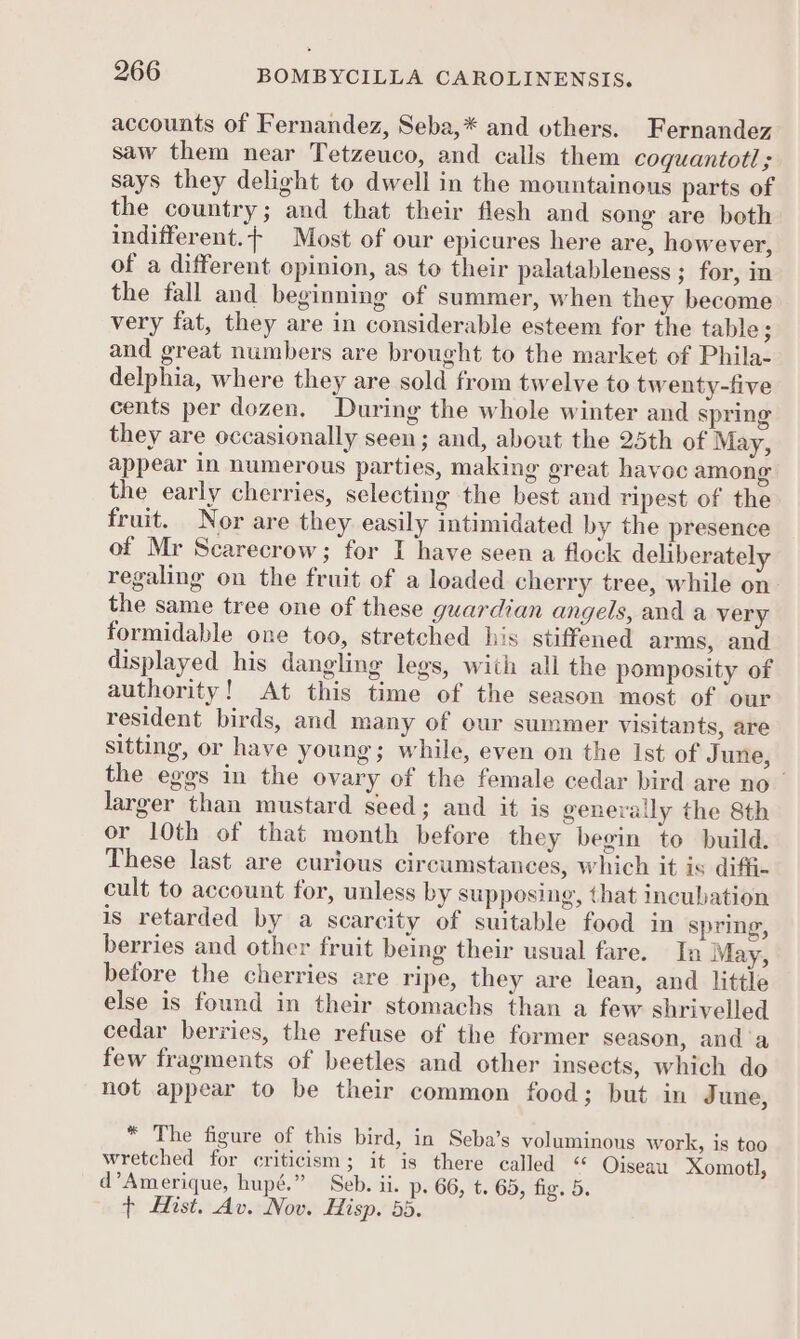 accounts of Fernandez, Seba,* and uthers. Fernandez saw them near Tetzeuco, and calls them coquantotl; says they delight to dwell in the mountainous parts of the country; and that their flesh and song are both indifferent.+ Most of our epicures here are, however, of a different opinion, as to their palatableness ; for, in the fall and beginning of summer, when they become very fat, they are in considerable esteem for the table; and great numbers are brought to the market of Phila- delphia, where they are sold from twelve to twenty-five cents per dozen, During the whole winter and sprin they are occasionally seen; and, about the 25th of May, appear in numerous parties, making great havoc among the early cherries, selecting the best and ripest of the fruit. Nor are they easily intimidated by the presence of Mr Scarecrow; for I have seen a flock deliberately regaling on the fruit of a loaded cherry tree, while on the same tree one of these guardian angels, and a very formidable one too, stretched his stiffened arms, and displayed his dangling legs, wiih all the pomposity of authority! At this time of the season most of our resident birds, and many of our summer visitants, are sitting, or have young; while, even on the Ist of June, the eggs in the ovary of the female cedar bird are no larger than mustard seed; and it is generaily the 8th or 10th of that month before they begin to build. These last are curious circumstances, which it is diffi- cult to account for, unless by supposing, that incubation is retarded by a scarcity of suitable food in spring, berries and other fruit being their usual fare. In May, before the cherries are ripe, they are lean, and little else is found in their stomachs than a few shrivelled cedar berries, the refuse of the former season, anda few fragments of beetles and other insects, which do not appear to be their common food; but in June, * The figure of this bird, in Seba’s voluminous work, is too wretched for criticism; it is there called “ Oiseau Xomotl, d’Amerique, hupé.” Seb. ii. p. 66, t. 65, fig. 5. + Hist. Av. Nov. Hisp. 55.