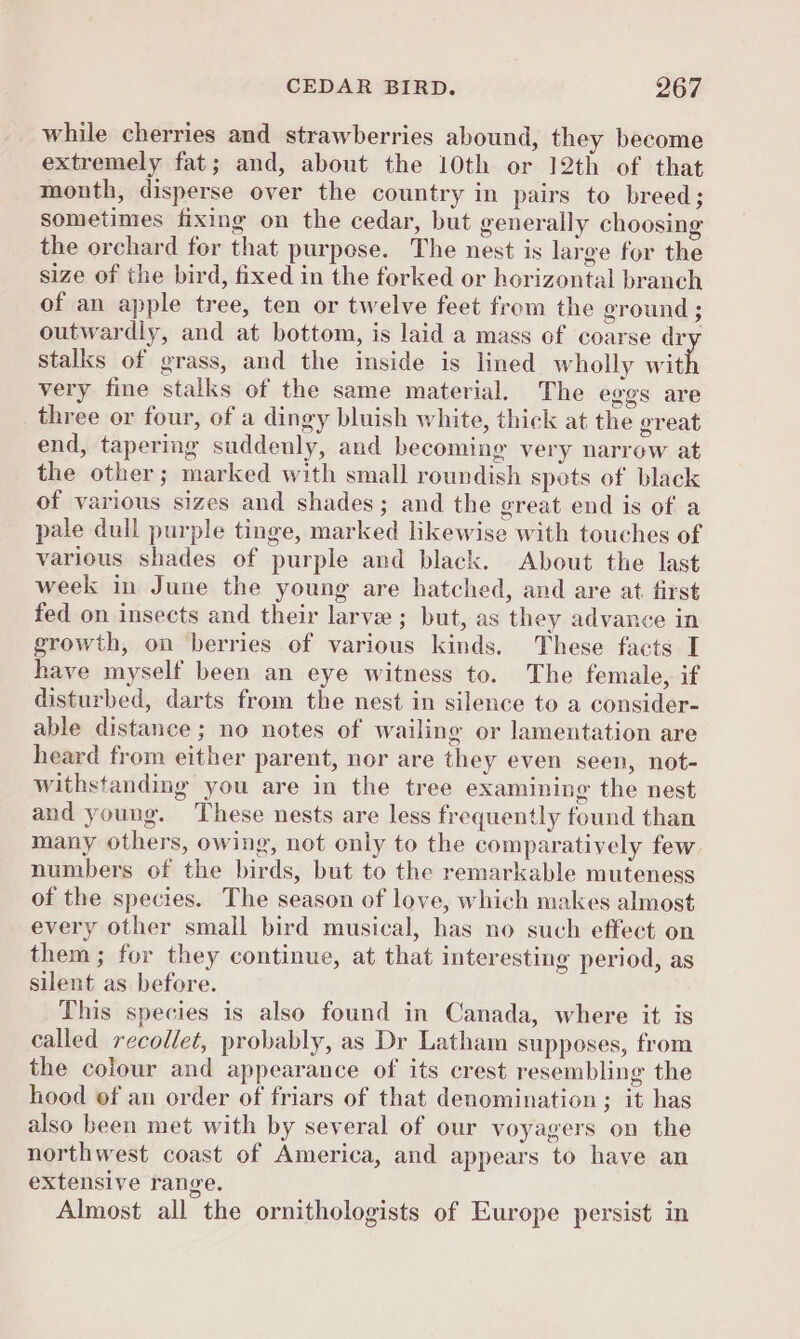while cherries and strawberries abound, they become extremely fat; and, about the 10th or 12th of that month, disperse over the country in pairs to breed; sometimes fixing on the cedar, but generally choosing the orchard for that purpese. The nest is large for the size of the bird, fixed in the forked or horizontal branch of an apple tree, ten or twelve feet from the ground ; outwardly, and at bottom, is laid a mass of coarse dry stalks of grass, and the inside is lined wholly wit very fine stalks of the same material. The eggs are three or four, of a dingy bluish white, thick at the great end, tapering suddenly, and becoming very narrow at the other; marked with small roundish spots of black of various sizes and shades; and the great end is of a pale dull purple tinge, marked likewise with touches of various shades of purple and black. About the last week in June the young are hatched, and are at. first fed on insects and their larve ; but, as they advance in growth, on berries of various kinds. These facts I have myself been an eye witness to. The female, if disturbed, darts from the nest in silence to a consider- able distance; no notes of wailing or lamentation are heard from either parent, nor are they even seen, not- withstanding you are in the tree examining the nest and young. These nests are less frequently found than many others, owing, not only to the comparatively few. numbers of the birds, but to the remarkable muteness of the species. The season of love, which makes almost every other small bird musical, has no such effect on them; for they continue, at that interesting period, as silent as before. This species is also found in Canada, where it is called recollet, probably, as Dr Latham supposes, from the colour and appearance of its crest resembling the hood of an order of friars of that denomination; it has also been met with by several of our voyagers on the northwest coast of America, and appears to have an extensive range. ‘ Almost all the ornithologists of Europe persist in