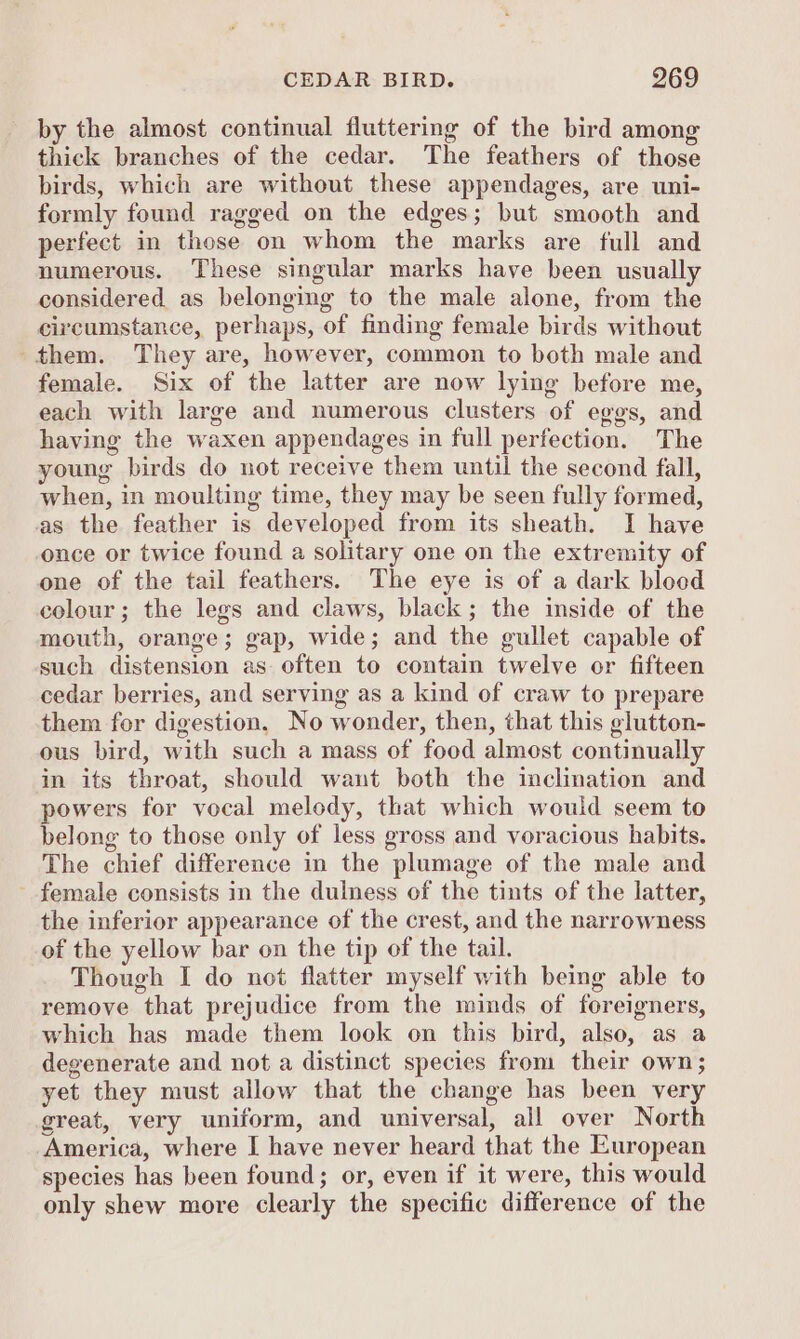 by the almost continual fluttering of the bird among thick branches of the cedar. The feathers of those birds, which are without these appendages, are uni- formly found ragged on the edges; but smooth and perfect in those on whom the marks are full and numerous. These singular marks have been usually considered as belongmg to the male alone, from the circumstance, perhaps, of finding female birds without them. They are, however, common to both male and female. Six of the latter are now lying before me, each with large and numerous clusters of eggs, and having the waxen appendages in full perfection. The young birds do not receive them until the second fall, when, in moulting time, they may be seen fully formed, as the feather is developed from its sheath. I have once or twice found a solitary one on the extremity of one of the tail feathers. The eye is of a dark blood colour; the legs and claws, black; the inside of the mouth, orange; gap, wide; and the gullet capable of such distension as often to contain twelve or fifteen cedar berries, and serving as a kind of craw to prepare them for digestion, No wonder, then, that this glutton- ous bird, with such a mass of food almost continually in its throat, should want both the inclination and powers for vocal melody, that which would seem to belong to those only of less gross and voracious habits. The chief difference in the plumage of the male and female consists in the dulness of the tints of the latter, the inferior appearance of the crest, and the narrowness of the yellow bar on the tip of the tail. Though I do not flatter myself with being able to remove that prejudice from the minds of foreigners, which has made them look on this bird, also, as a degenerate and not a distinct species from their own; yet they must allow that the change has been very great, very uniform, and universal, all over North America, where I have never heard that the European species has been found; or, even if it were, this would only shew more clearly the specific difference of the