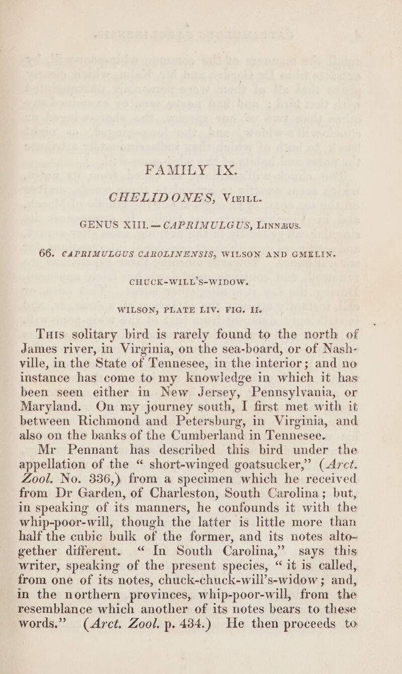 FAMILY IX. CHELIDONES, Vie. GENUS XIII.—CAPRIMULGUS, Linnawus. 66. €4PRIMULGUS CAROLINENSIS, WILSON AND GMELIN. CHUCK-WILL’S-WIDOW. WILSON, PLATE LIV. FIG. II. Tuts solitary bird is rarely found to the north of James river, in Virginia, on the sea-board, or of Nash- ville, in the State of Tennesee, in the interior; and no instance has come to my knowledge in which it has been seen either in New Jersey, Pennsylvania, or Maryland. On my journey south, I first met with it between Richmond and Petersburg, in Virginia, and also on the banks of the Cumberland in Tennesee. Mr Pennant has described this bird under the appellation of the “ short-winged goatsucker,” (Arct. Zool. No. 336,) from a specimen which he received from Dr Garden, of Charleston, South Carolina; but, in speaking of its manners, he confounds it with the whip-poor-will, though the latter is little more than half the cubic bulk of the former, and its notes alto- gether different. “ In South Carolina,’ says this writer, speaking of the present species, “ it is called, from one of its notes, chuck-chuck-will’s-widow ; and, in the northern provinces, whip-poor-will, from the resemblance which another of its notes bears to these words.” (Arct. Zool. p. 434.) He then proceeds to