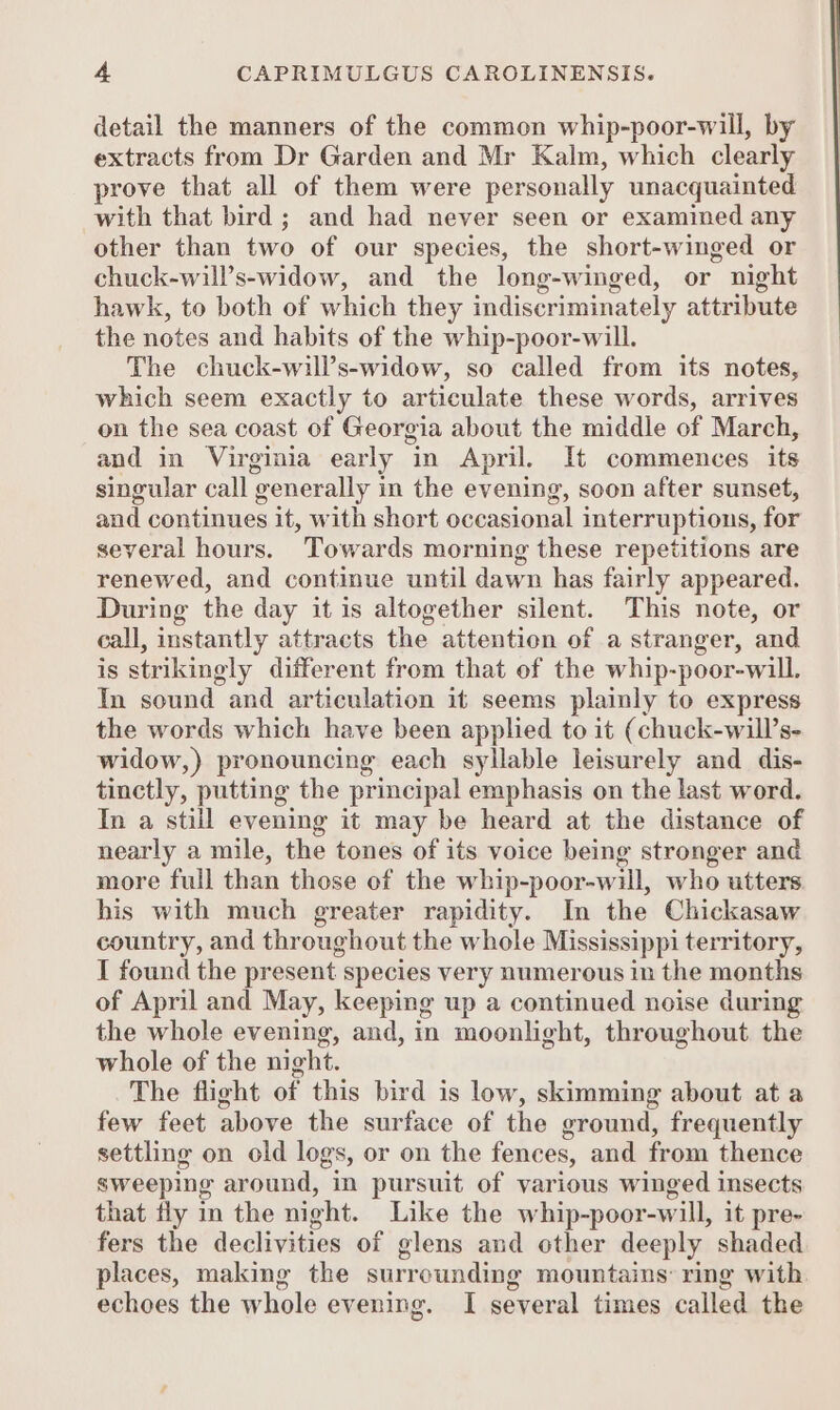 detail the manners of the common whip-poor-will, by extracts from Dr Garden and Mr Kalm, which clearly prove that all of them were personally unacquainted with that bird ; and had never seen or examined any other than two of our species, the short-winged or chuck-will’s-widow, and the long-winged, or night hawk, to both of which they indiscriminately attribute the notes and habits of the whip-poor-will. The chuck-will’s-widow, so called from its notes, which seem exactly to articulate these words, arrives on the sea coast of Georgia about the middle of March, and in Virginia early in April. It commences its singular call generally i in the evening, soon after sunset, and continues it, with short occasional interruptions, for several hours. Towards morning these repetitions are renewed, and continue until dawn has fairly appeared. During the day it is altogether silent. This note, or call, instantly attracts the attention of a stranger, and is strikingly different from that of the whip-poor-will. In sound and articulation it seems plainly to express the words which have been applied to it (chuck-will’s- widow,) pronouncing each syllable leisurely and dis- tinctly, putting the principal emphasis on the last word. In a still evening it may be heard at the distance of nearly a mile, the tones of its voice being stronger and more full than those of the whip-poor-will, who utters his with much greater rapidity. In the Chickasaw country, and throughout the whole Mississippi territory, I found the present species very numerous in the months of April and May, keeping up a continued noise during the whole evening, and, in moonlight, throughout the whole of the night. The flight of this bird is low, skimming about at a few feet above the surface of the ground, frequently settling on old logs, or on the fences, and from thence sweeping around, in pursuit of various winged insects that fly in the night. Like the w hip-poor-will, it pre- fers the declivities of glens and other deeply shaded places, making the surrounding mountains: ring with. echoes the whole ev ening. I several times called the
