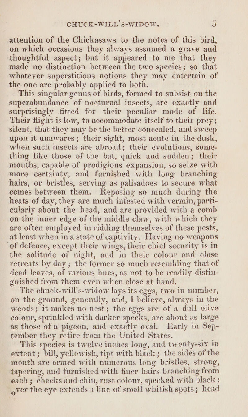 attention of the Chickasaws to the notes of this bird, on which occasions they always assumed a grave and thoughtful aspect; but it appeared to me that they made no distinction between the two species; so that whatever superstitious notions they may entertain of the one are probably applied to both. This singular genus of birds, formed to subsist on the superabundance of nocturnal insects, are exactly and surprisingly fitted for their peculiar mode of life. Their flight is low, to accommodate itself to their prey; silent, that they may be the better concealed, and sweep upon it unawares ; their sight, most acute in the dusk, when such insects are abroad; their evolutions, some- thing like those of the bat, quick and sudden; their mouths, capable of prodigious expansion, so seize with more certainty, and furnished with long branching hairs, or bristles, serving as palisadoes to secure what comes between them. Reposing so much during the heats of day, they are much infested with vermin, parti- cularly about the head, and are provided with a comb on the inner edge of the middle claw, with which they are often employed in ridding themselves of these pests, at least when in a state of captivity. Having no weapons of defence, except their wings, their chief security is in the solitude of night, and in their colour and close retreats by day; the former so much resembling that of dead leaves, of various hues, as not to be readily distin- guished from them even when close at hand. The chuck-will’s-widow lays its eges, two in number, on the ground, generally, and, I believe, always in the woods; it makes no nest; the eggs are of a dull olive colour, sprinkled with darker specks, are about as large as those of a pigeon, and exactly oval. Early in Sep- tember they retire from the United States. This species is twelve inches long, and twenty-six in extent; bill, yellowish, tipt with black ; the sides of the mouth are armed with numerous long bristles, strong, tapering, and furnished with finer hairs branching from each ; cheeks and chin, rust colour, specked with black ; over the eye extends a line of small whitish spots; head