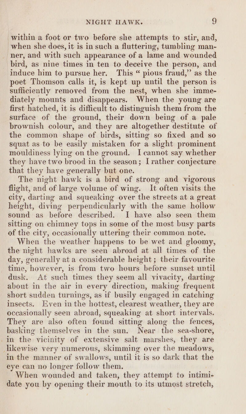 within a foot or two before she attempts to stir, and, when she does, it is in such a fluttering, tumbling man- ‘ner, and with such appearance of a lame and wounded _ bird, as nine times in ten to deceive the person, and induce him to pursue her. This “ pious fraud,” as the poet Thomson calls it, is kept up until the person is sufficiently removed from the nest, when she imme- diately mounts and disappears. When the young are first hatched, it is difficult to distinguish them from the surface of the ground, their down being of a pale brownish colour, and they are altogether destitute of the common shape of birds, sitting so fixed and so squat as to be easily mistaken for a slight prominent mouldiness lying on the ground. I cannot say whether they have two brood in the season; I rather conjecture that they have generally but one. The night hawk is a bird of strong and vigorous flight, and of large volume of wing. It often visits the city, darting and squeaking over “the streets at a great height, diving perpendicularly with the same hollow sound as before described. I have also seen them sitting on chimney tops in some of the most busy parts of the city, occasionally uttering their common note. When the weather happens to be wet and gloomy, the night hawks are seen abroad at all times of the day, generally ata considerable height ; their favourite time, however, is from two hours before sunset until dusk. At such times they seem all vivacity, darting about in the air in every direction, making frequent short sudden turnings, as if busily engaged in catching insects. Even in the hottest, clearest weather, they are occasionally seen abroad, squeaking at short intervals. They are also often found sitting along the fences, basking themselves in the sun. Near the sea-shore, -in the vicinity of extensive salt marshes, they are likewise very numerous, skimming over the meadows, in the manner of swallows, until it is so dark that the eye can no longer follow them. When wounded and taken, they attempt to intimi- date you by opening their mouth to its utmost stretch,