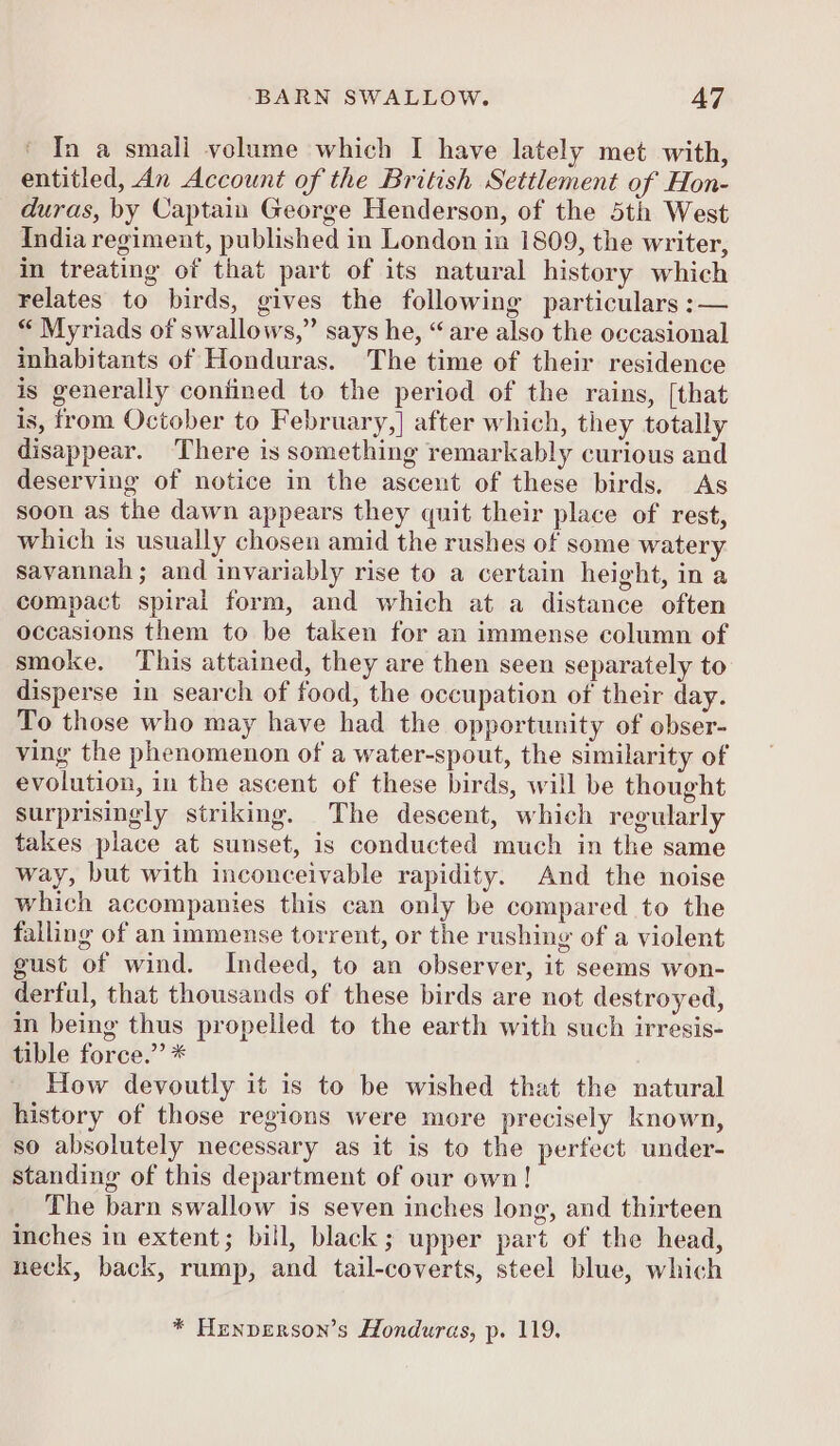 In a smali velume which I have lately met with, entitled, An Account of the British Settlement of Hon- duras, by Captain George Henderson, of the 5th West India regiment, published in London in 1809, the writer, in treating of that part of its natural history which relates to birds, gives the following particulars :— “ Myriads of swallows,” says he, “are also the occasional inhabitants of Honduras. The time of their residence is generally confined to the period of the rains, [that is, from October to February,] after which, they totally disappear. There is something remarkably curious and deserving of notice in the ascent of these birds. As soon as the dawn appears they quit their place of rest, which is usually chosen amid the rushes of some watery savannah ; and invariably rise to a certain height, in a compact spiral form, and which at a distance often occasions them to be taken for an immense column of smoke. This attained, they are then seen separately to disperse in search of food, the occupation of their day. To those who may have had the opportunity of obser- ving the phenomenon of a water-spout, the similarity of evolution, in the ascent of these birds, will be thought surprisingly striking. The descent, which regularly takes place at sunset, is conducted much in the same way, but with inconceivable rapidity. And the noise which accompanies this can only be compared to the falling of an immense torrent, or the rushing of a violent gust of wind. Indeed, to an observer, it seems won- derful, that thousands of these birds are not destroyed, in being thus propelled to the earth with such irresis- tible force.” * How devoutly it is to be wished that the natural history of those regions were more precisely known, so absolutely necessary as it is to the perfect under- standing of this department of our own! The barn swallow is seven inches long, and thirteen inches in extent; bill, black; upper part of the head, neck, back, rump, and tail-coverts, steel blue, which * Henperson’s Honduras, p. 119, P}