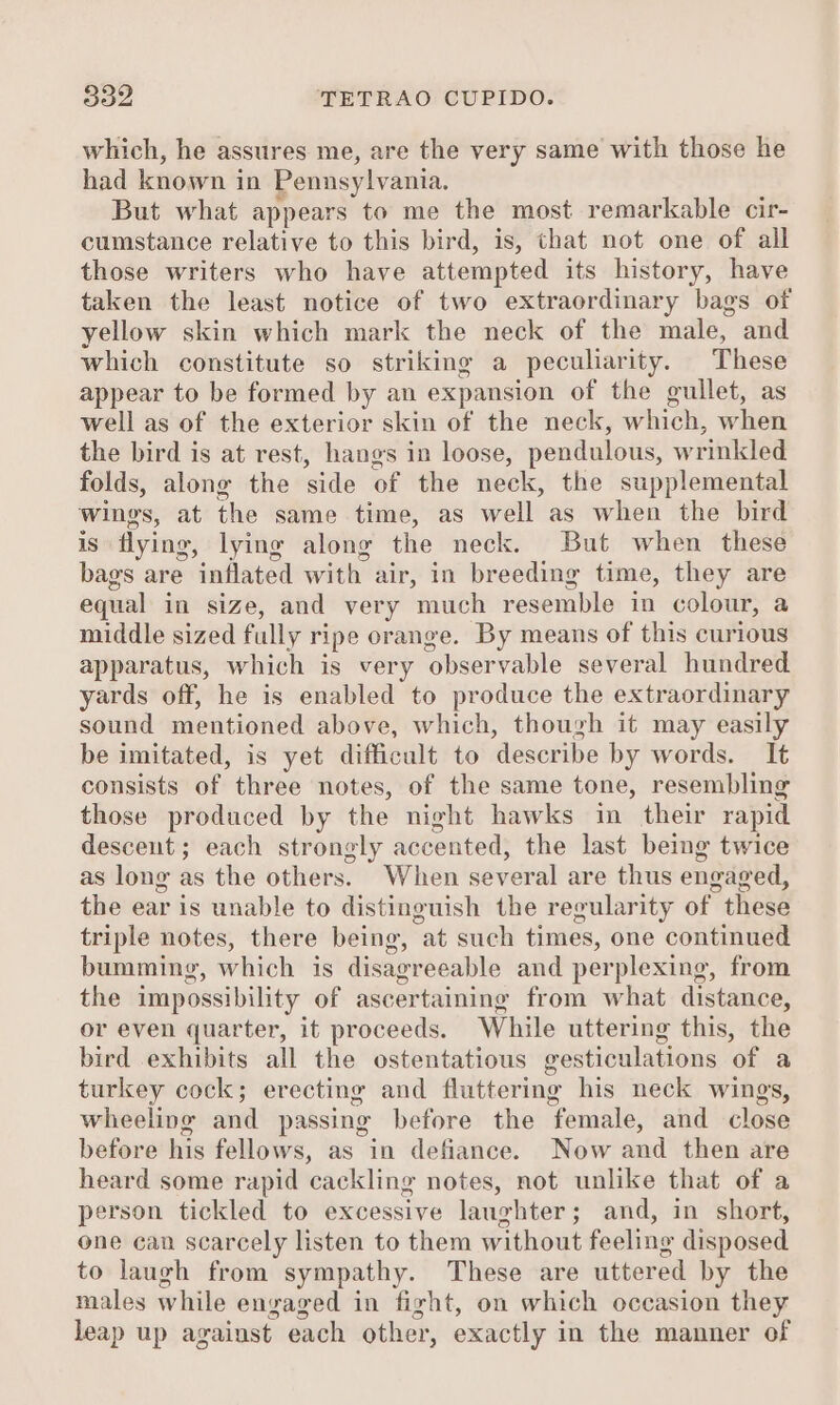 which, he assures me, are the very same with those he had known in Pennsylvania. But what appears to me the most remarkable cir- cumstance relative to this bird, is, that not one of all those writers who have attempted its history, have taken the least notice of two extraordinary bags of yellow skin which mark the neck of the male, and which constitute so striking a peculiarity. These appear to be formed by an expansion of the gullet, as well as of the exterior skin of the neck, which, when the bird is at rest, hangs in loose, pendulous, wrinkled folds, along the side of the neck, the supplemental wings, at the same time, as well as when the bird is flying, lying along the neck. But when these bags are inflated with air, in breeding time, they are equal in size, and very much resemble in colour, a middle sized fully ripe orange. By means of this curious apparatus, which is very observable several hundred yards off, he is enabled to produce the extraordinary sound mentioned above, which, though it may easily be imitated, is yet difficult to describe by words. It consists of three notes, of the same tone, resembling those produced by the night hawks in their rapid desceut; each strongly accented, the last being twice as long as the others. When several are thus engaged, the ear is unable to distinguish the regularity of these triple notes, there being, at such times, one continued bumming, which is disagreeable and perplexing, from the impossibility of ascertaining from what distance, or even quarter, it proceeds. While uttering this, the bird exhibits all the ostentatious gesticulations of a turkey cock; erecting and fluttering his neck wings, wheeling and passing before the female, and close before his fellows, as in defiance. Now and then are heard some rapid cackling notes, not unlike that of a person tickled to excessive laughter; and, in short, one can scarcely listen to them without feeling disposed to laugh from sympathy. These are uttered by the males while engaged in fight, on which occasion they leap up against each other, exactly in the manner of