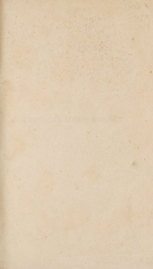 digitised image 3