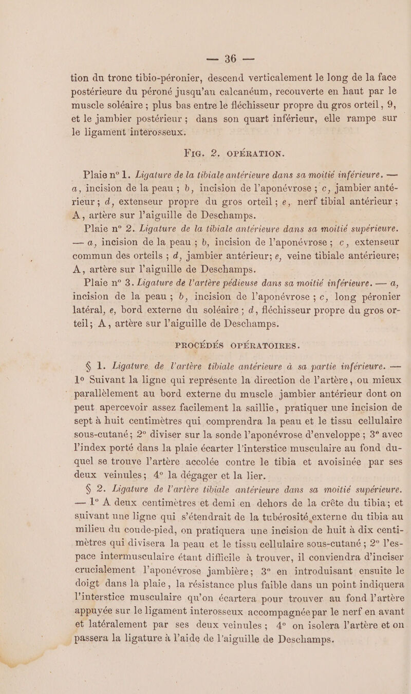PE tion du tronc tibio-péronier, descend verticalement le long de la face postérieure du péroné jusqu’au calcanéum, recouverte en haut par le muscle soléaire ; plus bas entre le fléchisseur propre du gros orteil, 9, et le jambier postérieur ; dans son quart inférieur, elle rampe sur le ligament interosseux. FIG. 2. OPÉRATION. _ Plaien° 1. Ligature de la tibiale antérieure dans sa moitié inférieure. — a, incision de la peau ; b, incision de l’aponévrose ; c, jambier anté- rieur ; d, extenseur propre du gros orteil; e, nerf tibial antérieur ; À, artère sur l'aiguille de Deschamps. Plaie n° 2. Ligature de la tibiale antérieure dans sa moitié supérieure. — &amp;, incision de la peau ; b, incision de l’aponévrose; c, extenseur commun des orteils ; d, jambier antérieur; e, veine tibiale antérieure; À, artère sur l'aiguille de Deschamps. Plaie n° 3. Ligature de l'artère pédieuse dans sa moitié inférieure. — a, incision de la peau ; b, incision de l’aponévrose ; c, long péronier latéral, e, bord externe du soléaire ; d, fléchisseur propre du gros or- teil; À, artère sur l’aiguille de Deschamps. PROCÉDÉS OPÉRATOIRES. $ 1. Ligature de l'artère tibiale antérieure à sa partie inférieure. — 1° Suivant la ligne qui représente la direction de l'artère, ou mieux parallèlement au bord externe du muscle jambier antérieur dont on peut apercevoir assez facilement la saillie, pratiquer une incision de sept à huit centimètres qui comprendra la peau et le tissu cellulaire sous-cutané; 2° diviser sur la sonde l’aponévrose d’enveloppe ; 3° avec index porté dans la plaie écarter l’interstice musculaire au fond du- quel se trouve l'artère accolée contre le tibia et avoisinée par ses deux veinules; 4° la dégager et la lier. $ 2. Ligature de l'artère tibiale antérieure dans sa moitié supérieure. — 1° À deux centimètres et demi en dehors de la crête du tibia; et suivant une ligne qui s’étendrait de la tubérosité externe du tibia au milieu du coude-pied, on pratiquera une incision de huit à dix centi- mètres qui divisera la peau et le tissu cellulaire sous-cutané ; 2° l’es- pace intermusculaire étant difficile à trouver, il conviendra d’inciser crucialement l’aponévrose jambière; 3° en introduisant ensuite le doigt dans là plaie, la résistance plus faible dans un point indiquera l'interstice musculaire qu’on écartera pour trouver au fond l'artère appuyée sur le ligament interosseux accompagnée par le nerf en avant et latéralement par ses deux veinules; 4° on isolera l'artère et on passera la ligature à l’aide de l'aiguille de Deschamps.
